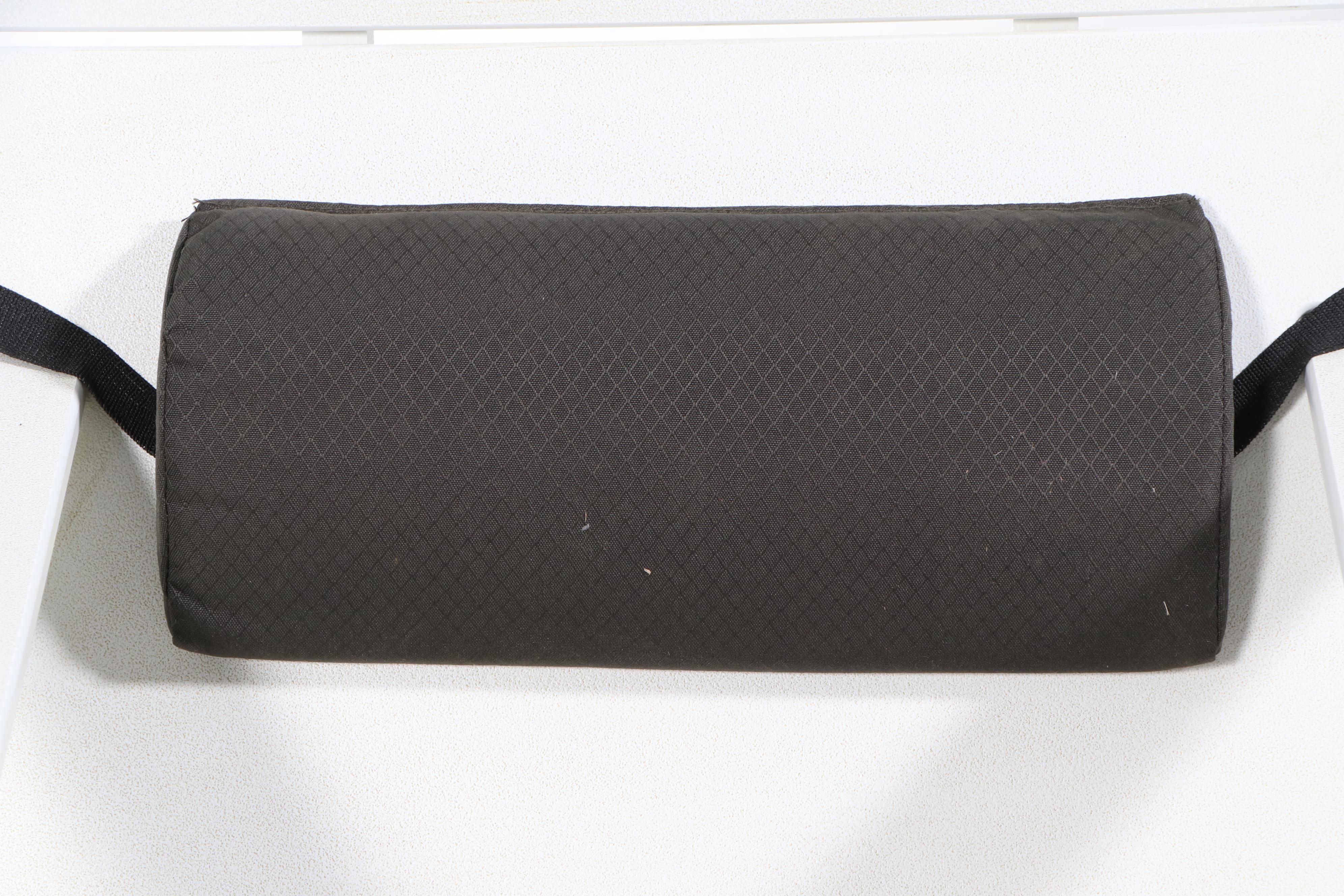 Pair of Loll Designs Modern "Lollygagger" Recycled Plastic Lounge Chairs