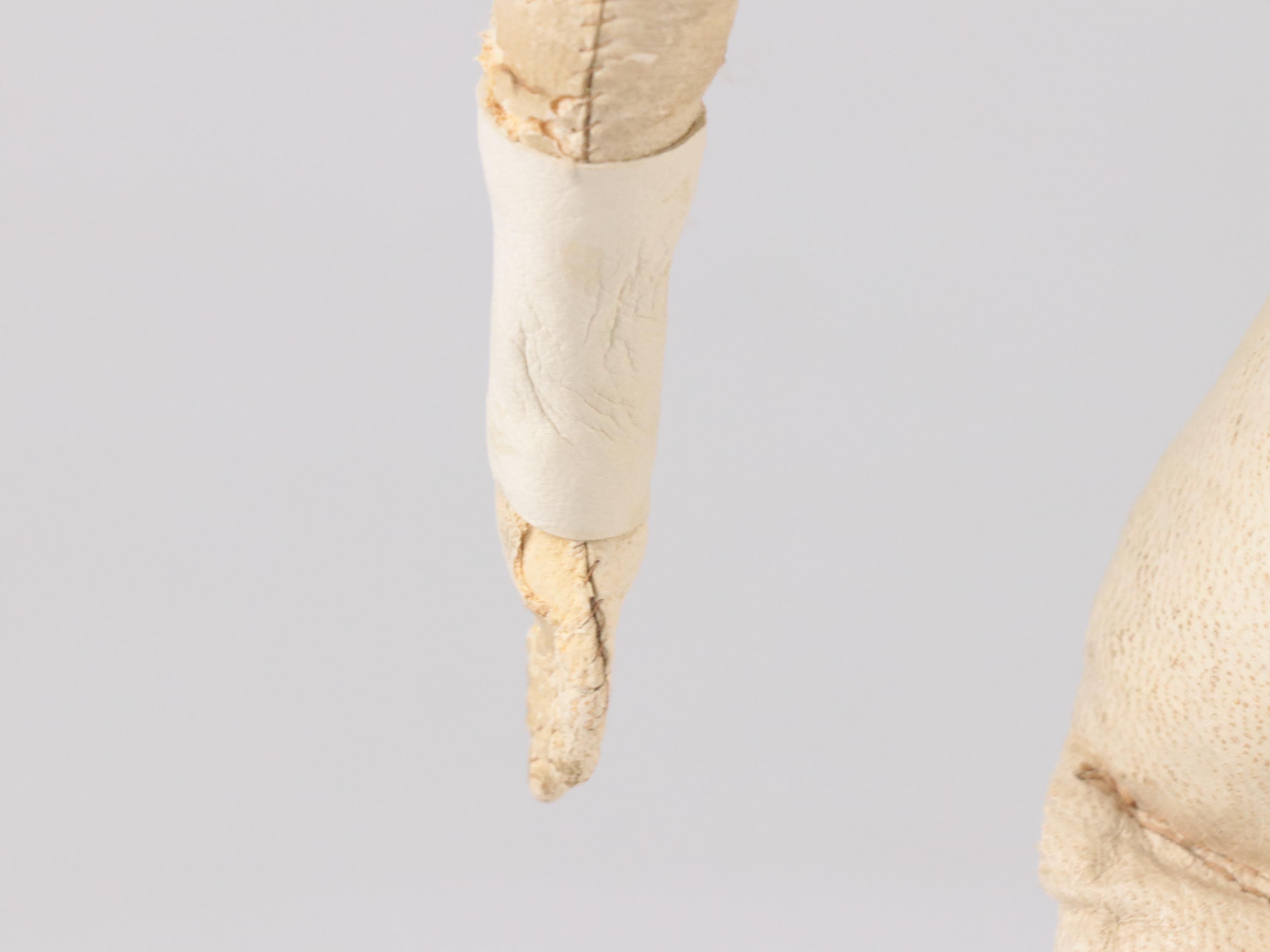 German Queen Victoria China Head Doll with Kid Leather Body, Mid-19th Century