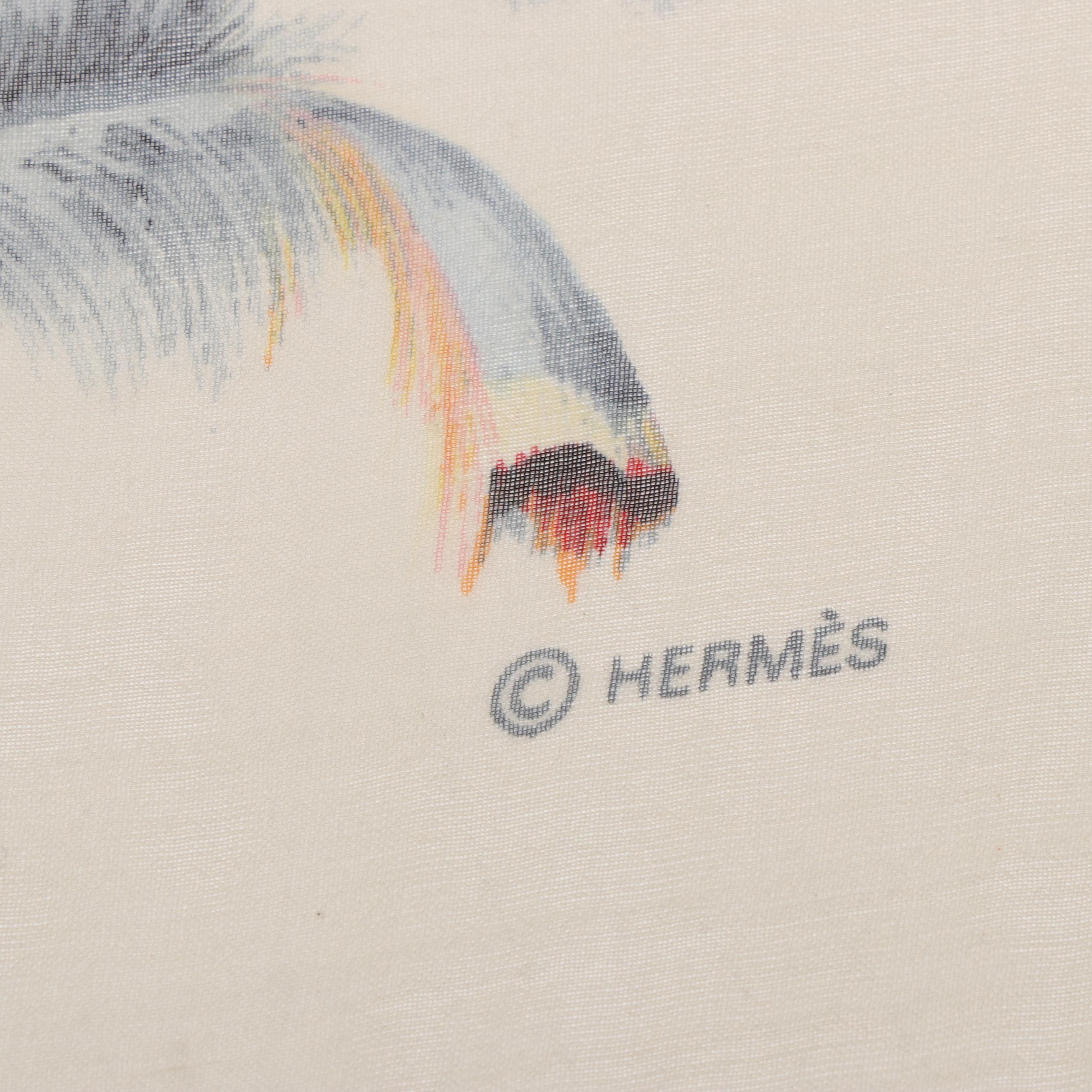 Hermès "Plumes" Silk Chiffon Scarf