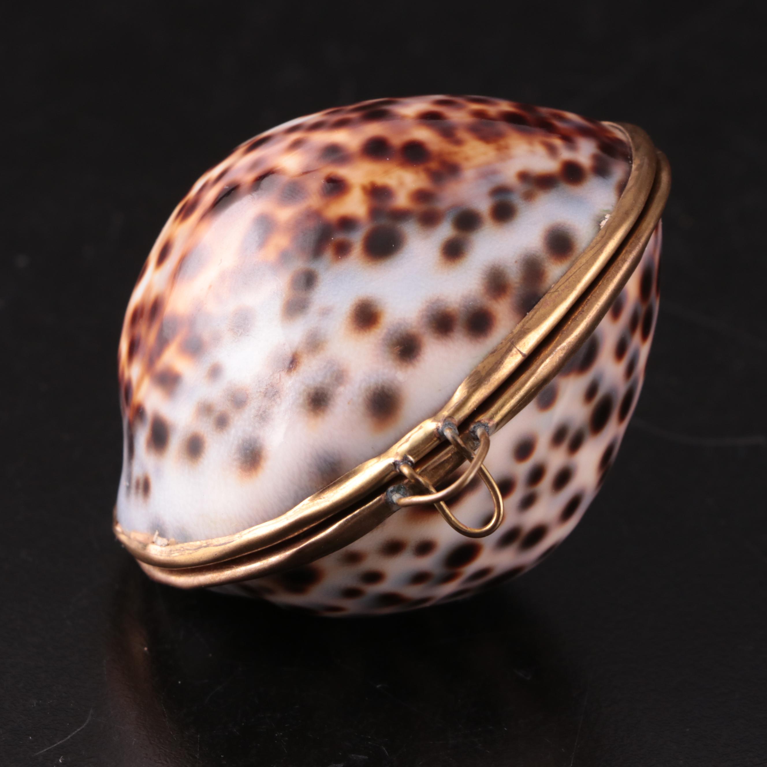 Cowrie, Polished Limpet, and Mother of Pearl Hinged Boxes