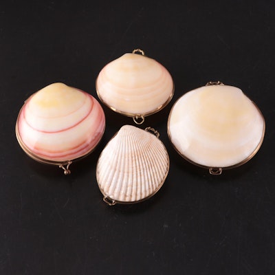 Polished Tiger Clam and Cockle Hinged Boxes