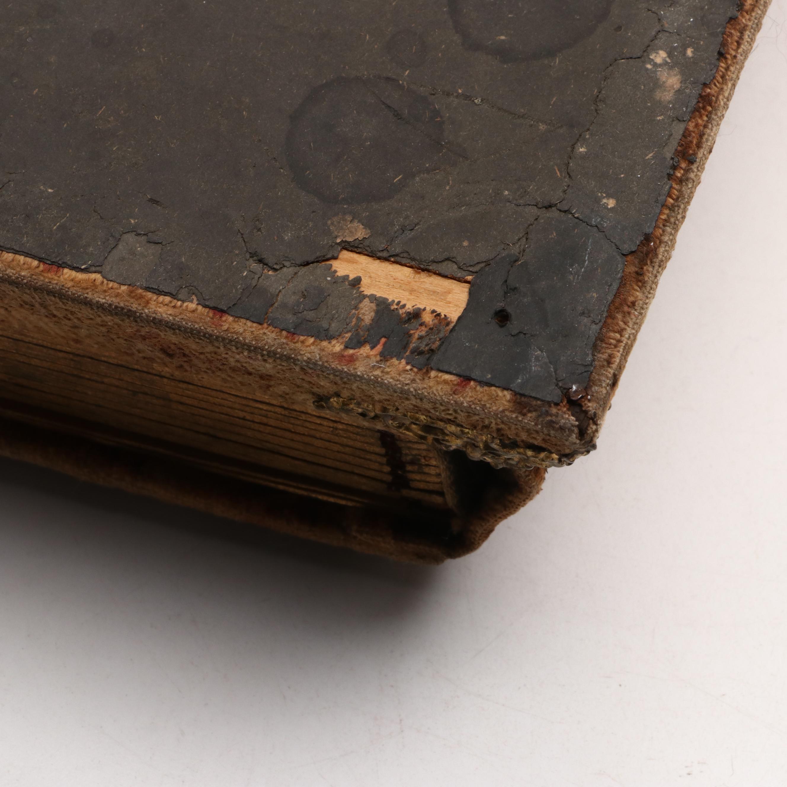 Victorian Musical Photo Album and Other Shell Shaped Album