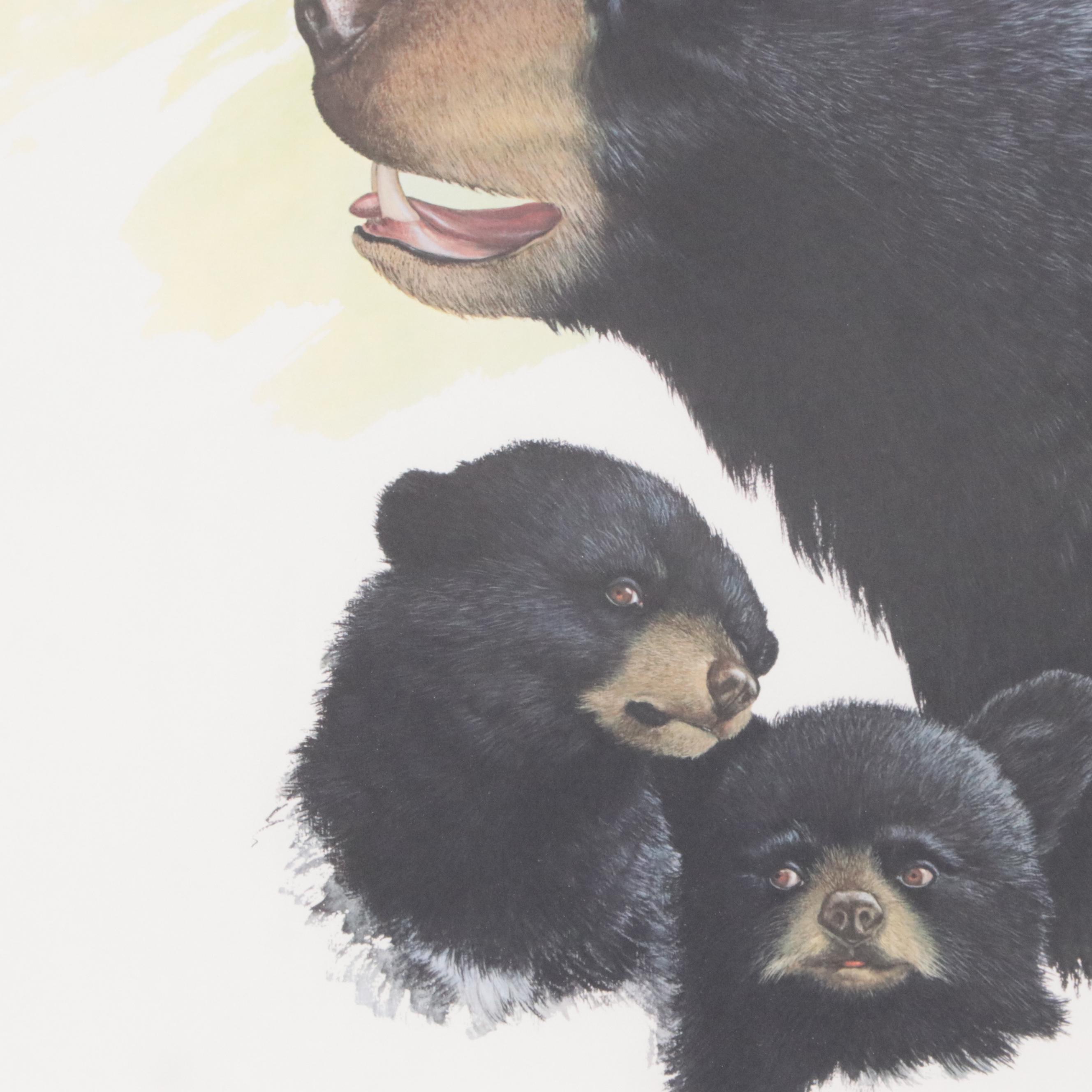 Ray Harm Offset Print "Black Bear"