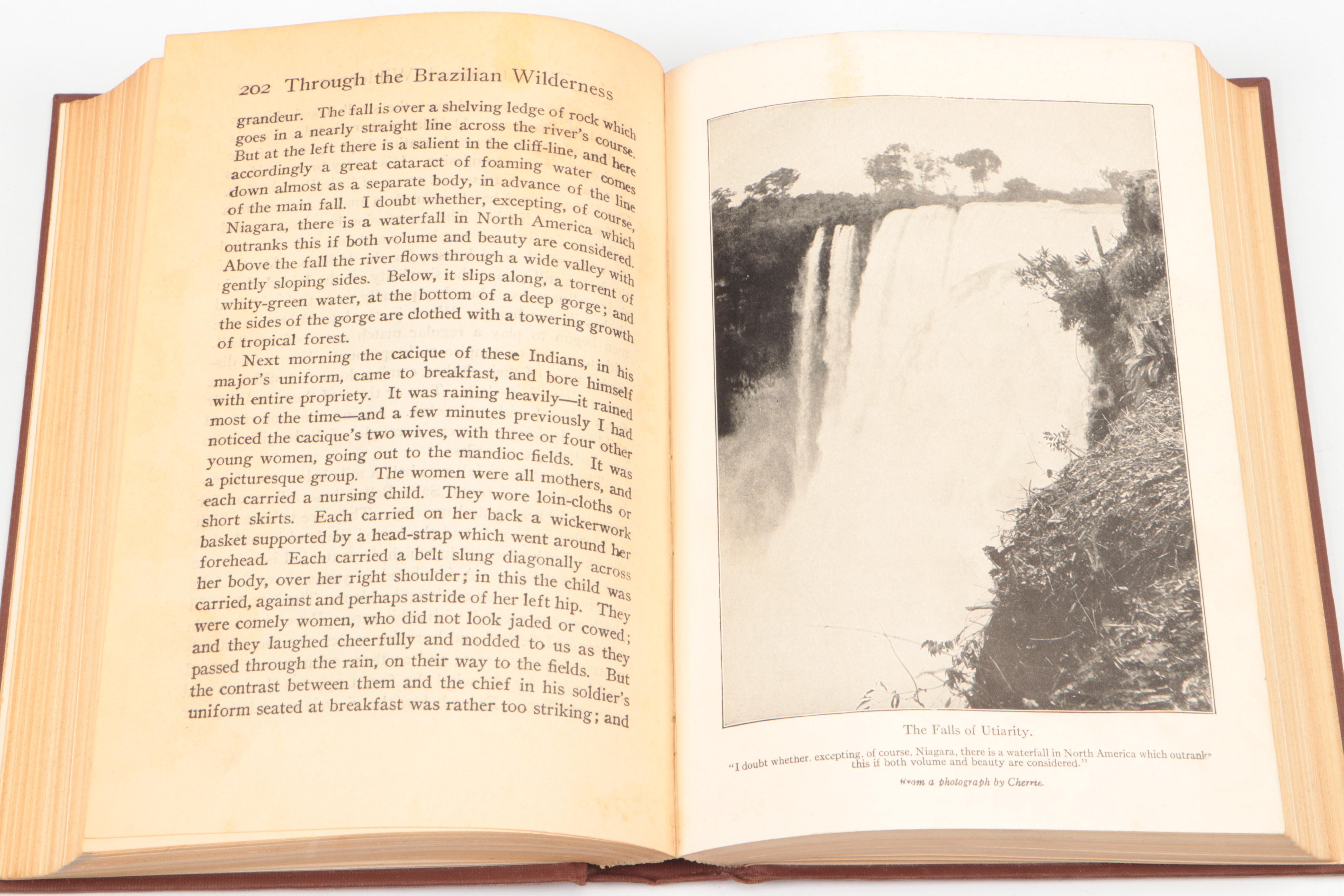 "African Game Trails" and More by Theodore Roosevelt with "Gone with the Wind"