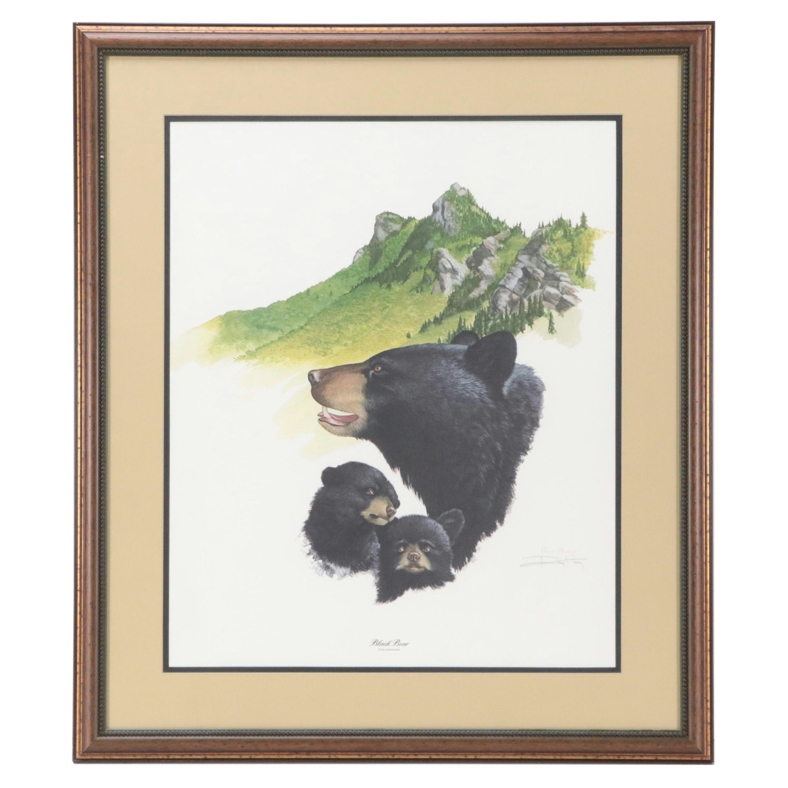 Ray Harm Offset Print "Black Bear"