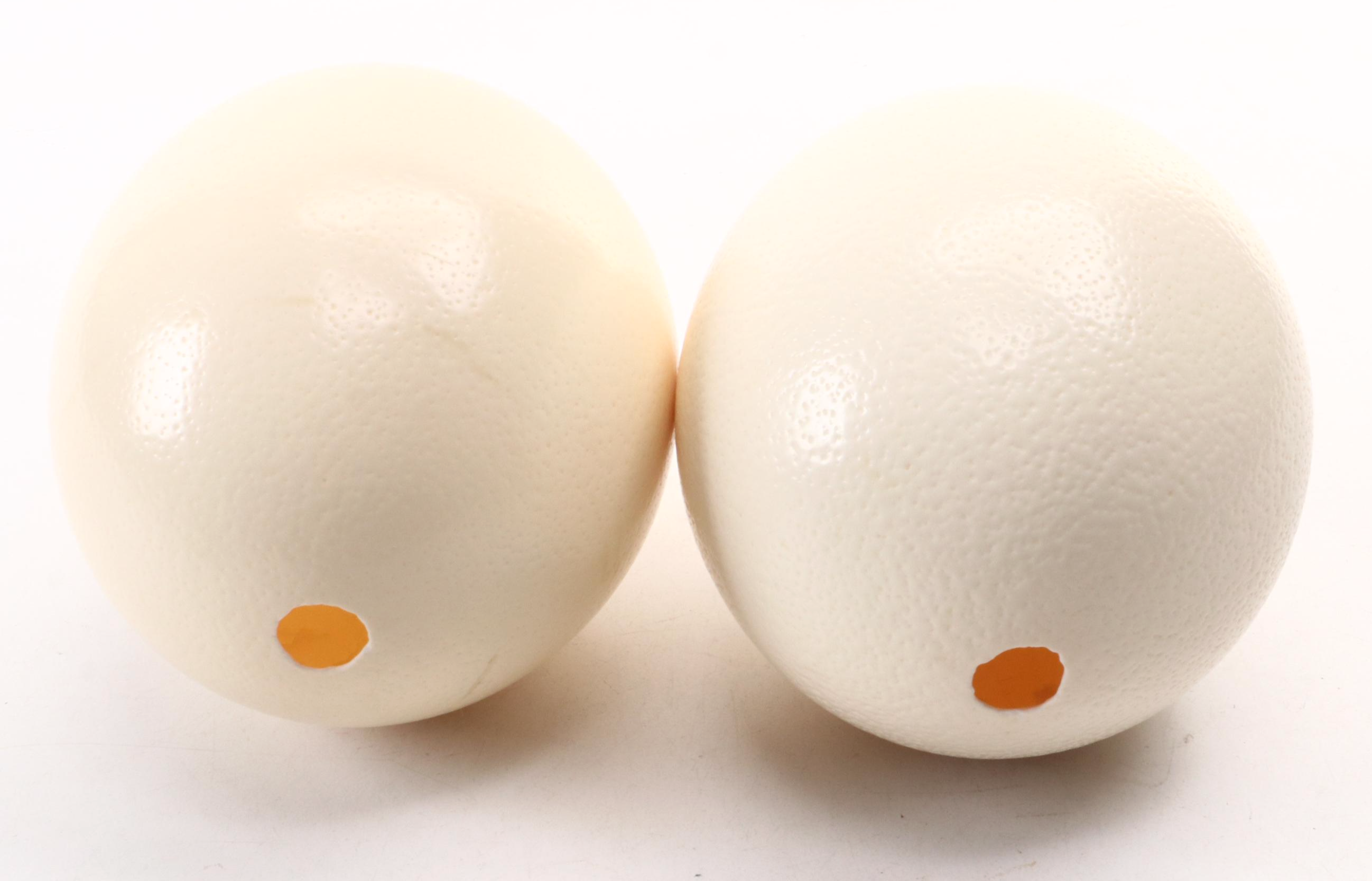 Ostrich Eggs With Fulani Beaded Bracelet Ring Stands