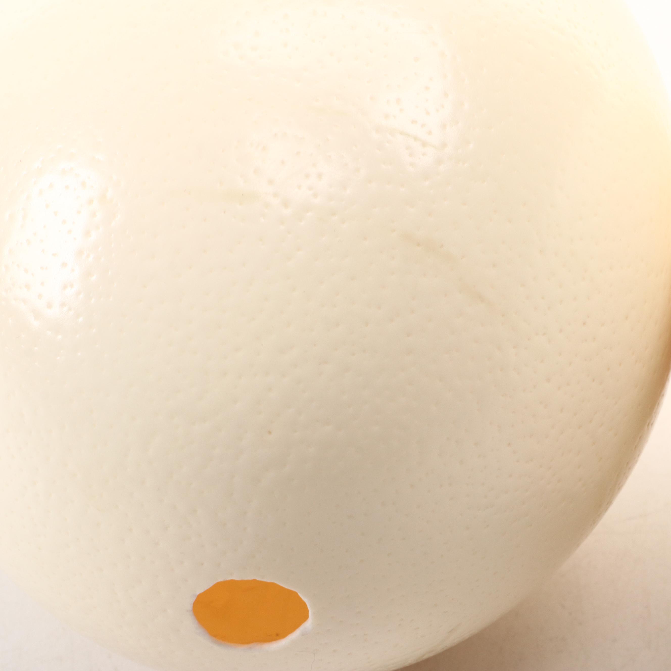 Ostrich Eggs With Fulani Beaded Bracelet Ring Stands