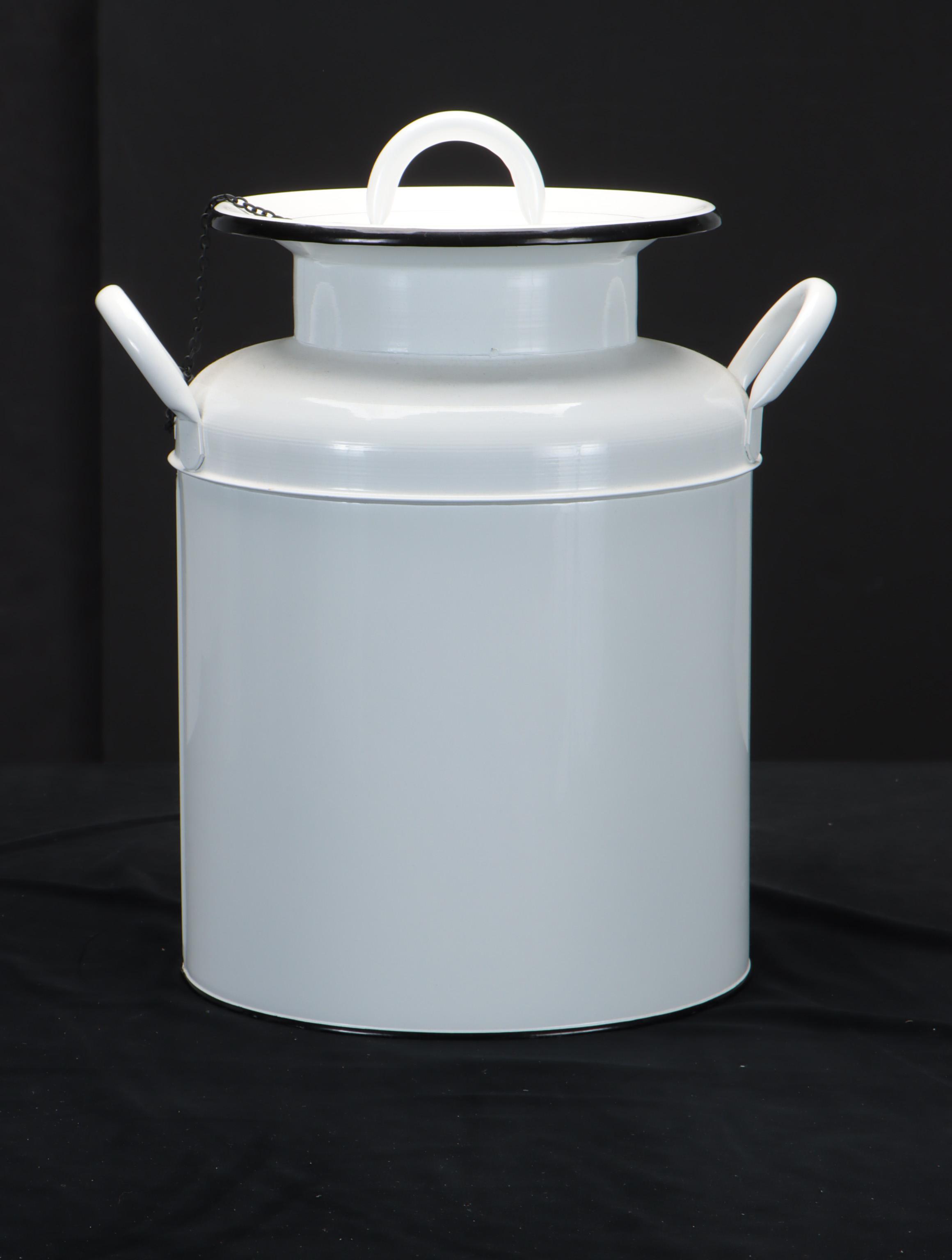 Farm Fresh Dairy Decorative Milk Jug with Galvanized Metal Jug and Vase