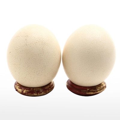Ostrich Eggs with Lacquerware Ring Stands
