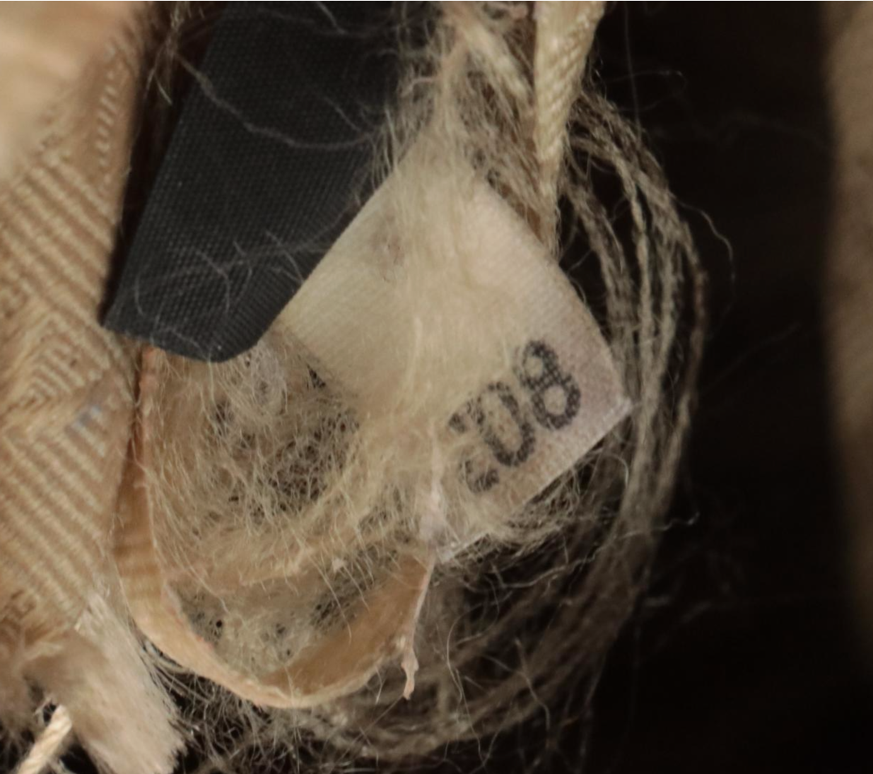 Prada Hobo Shoulder Tote in Tan Grained Leather