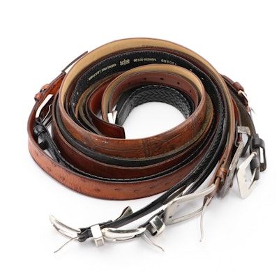 Torino Elite Ostrich Leather, Other Alligator and Leather Belts by Fossil & More