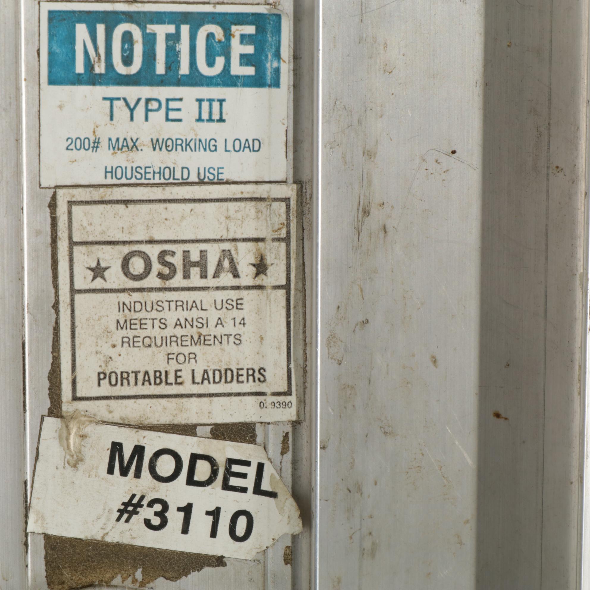 Louisville 10' Step Ladder with Michigan 20' Extension Ladder