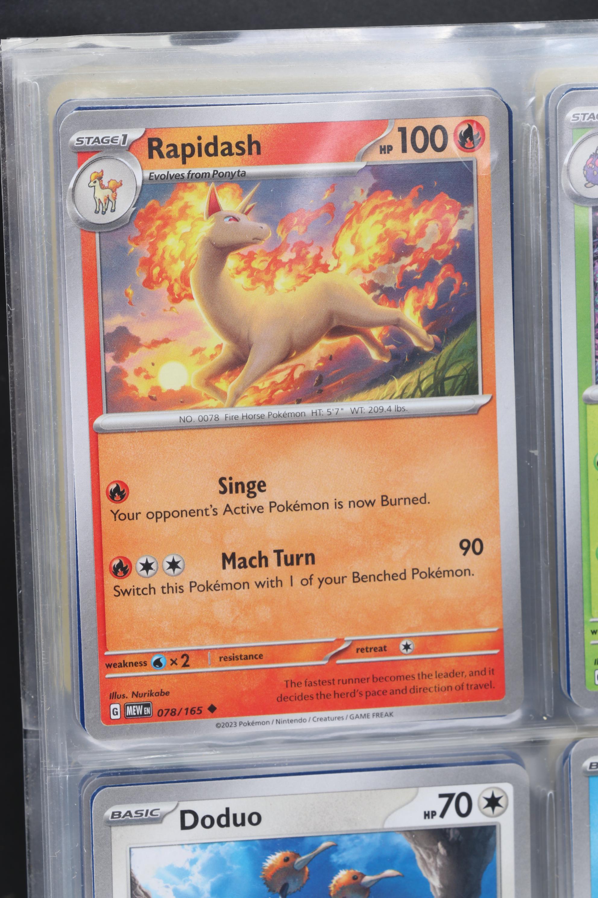 Pokémon Card Collection Featuring Japanese and Holos, 1999 - 2024