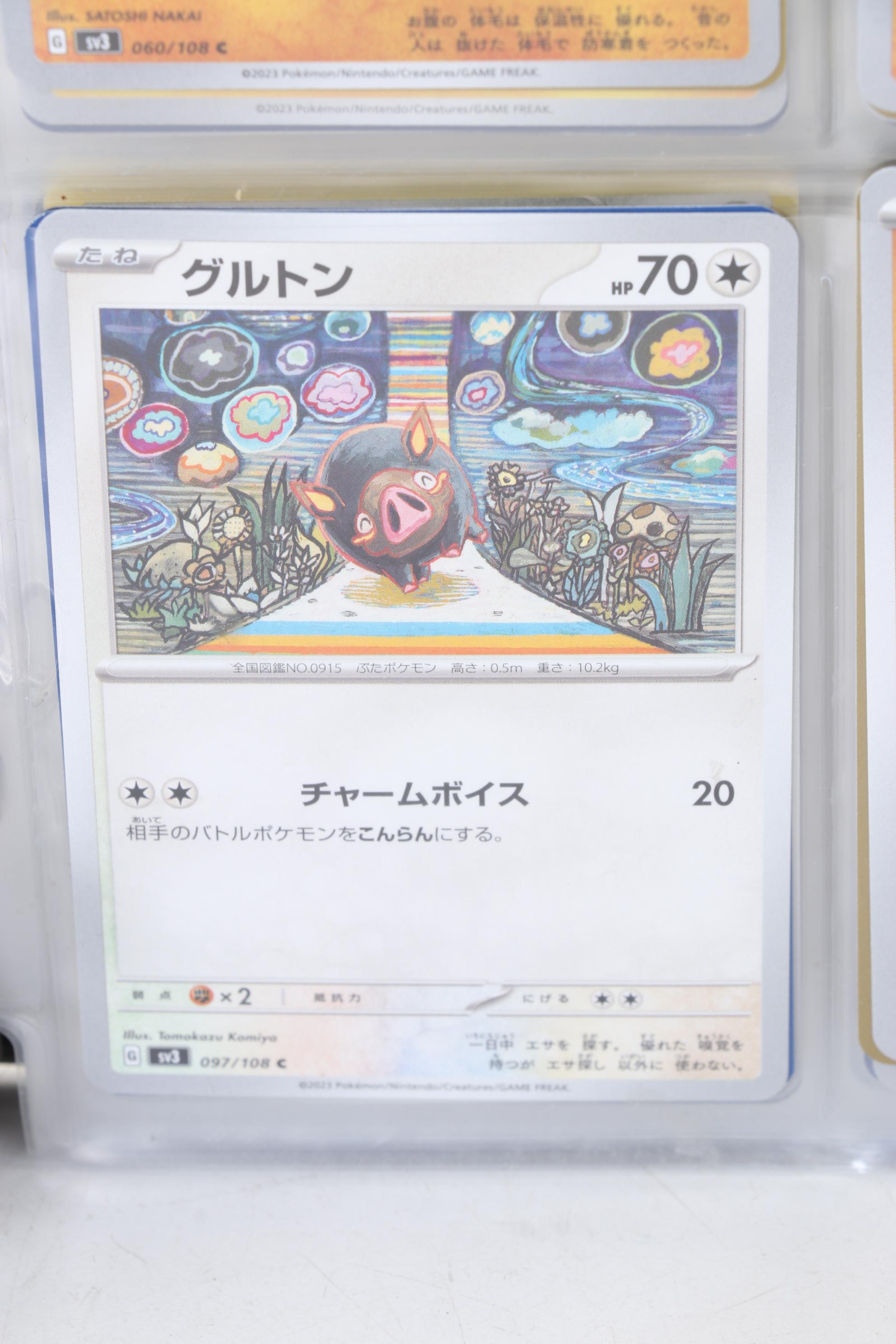 Pokémon Card Collection Featuring Japanese and Holos, 1999 - 2024