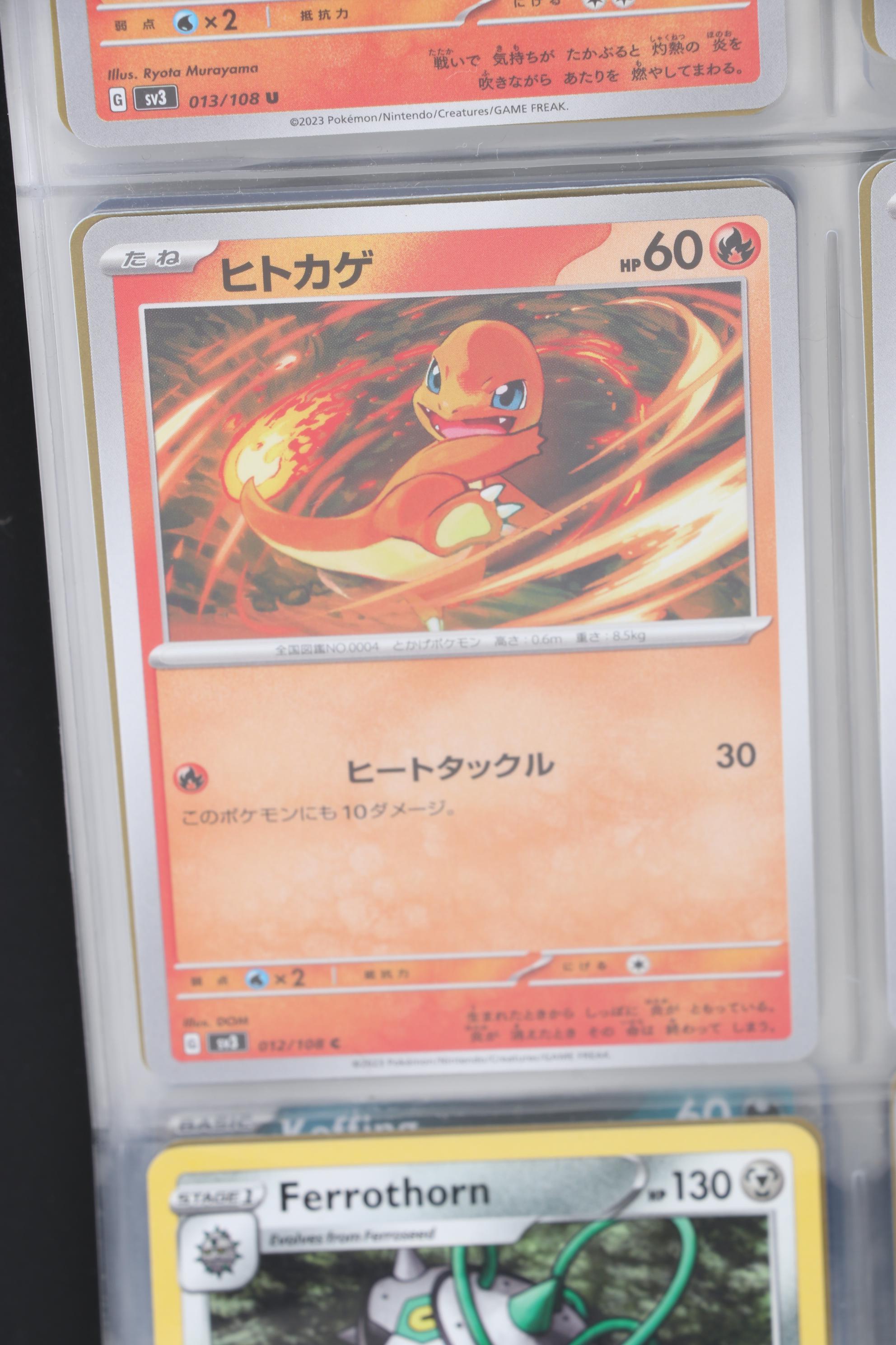 Pokémon Card Collection Featuring Japanese and Holos, 1999 - 2024