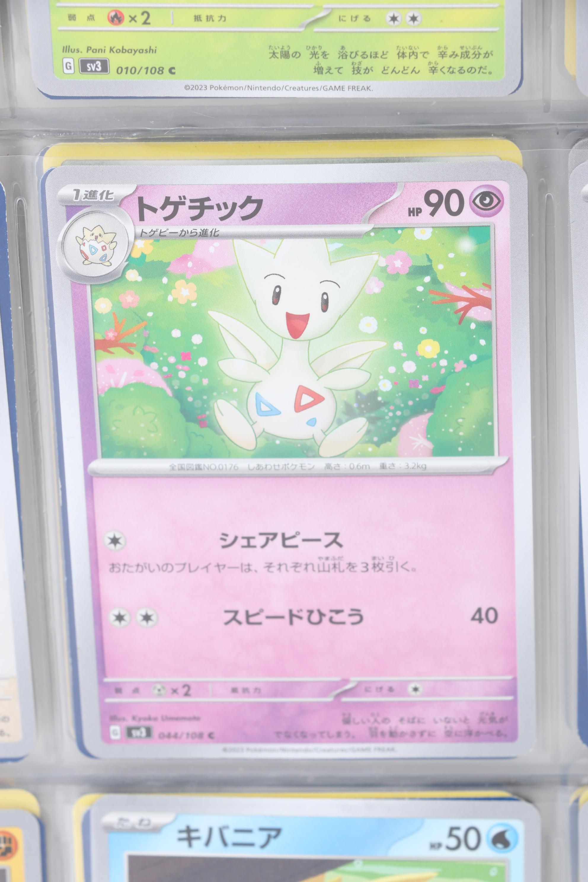 Pokémon Card Collection Featuring Japanese and Holos, 1999 - 2024