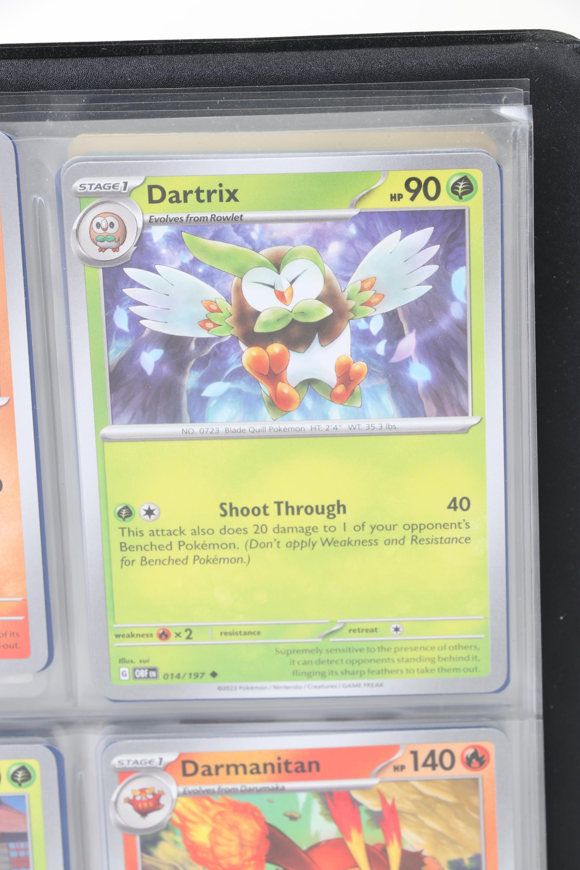 Pokémon Card Collection Featuring Japanese and Holos, 1999 - 2024