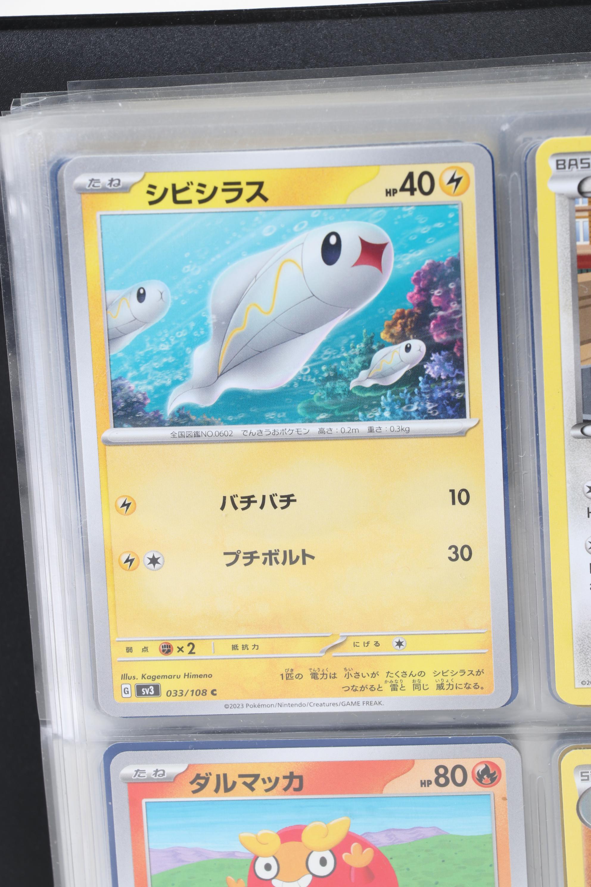 Pokémon Card Collection Featuring Japanese and Holos, 1999 - 2024