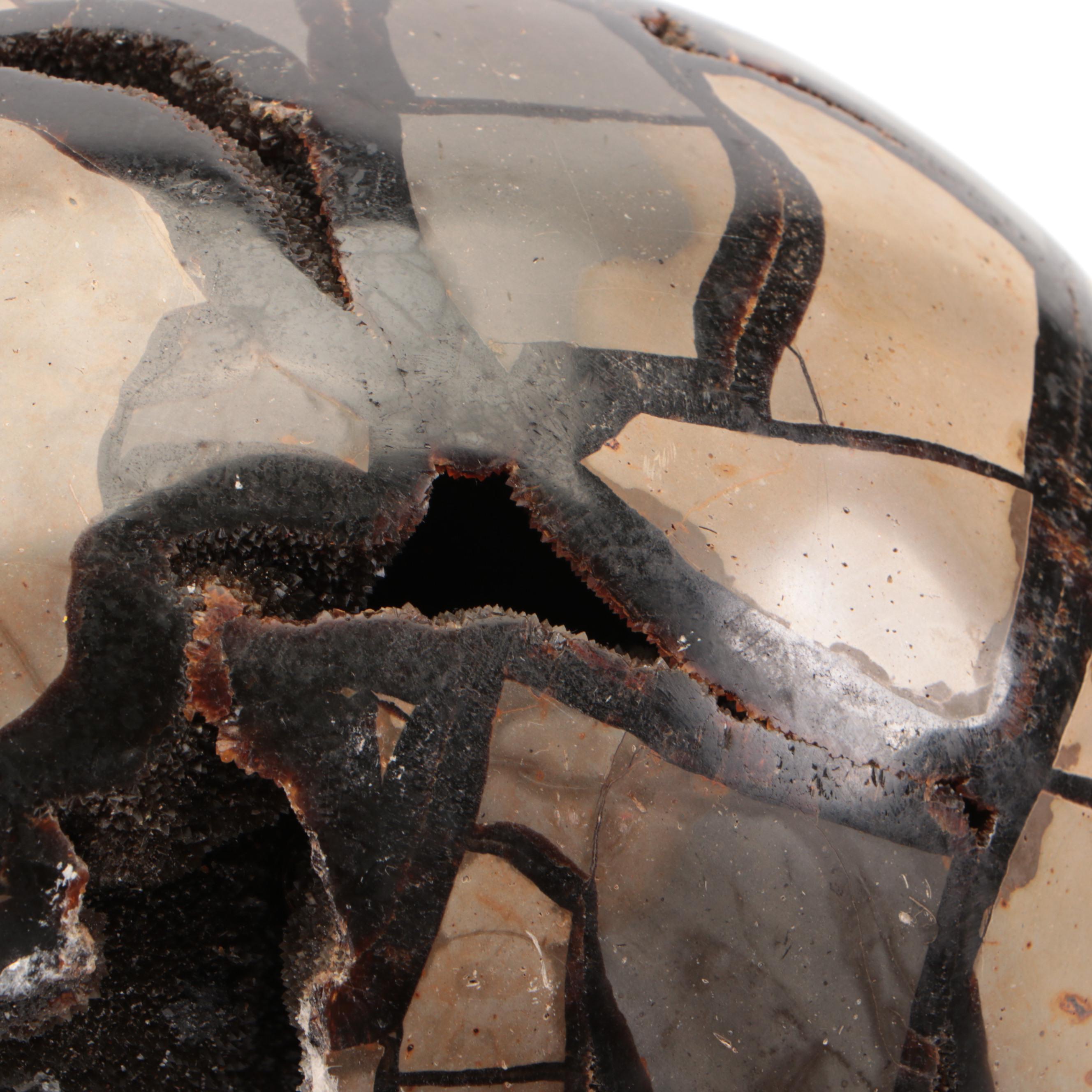 Septarian Nodule "Dragon Egg" Geode Specimen With Aragonite Druzy