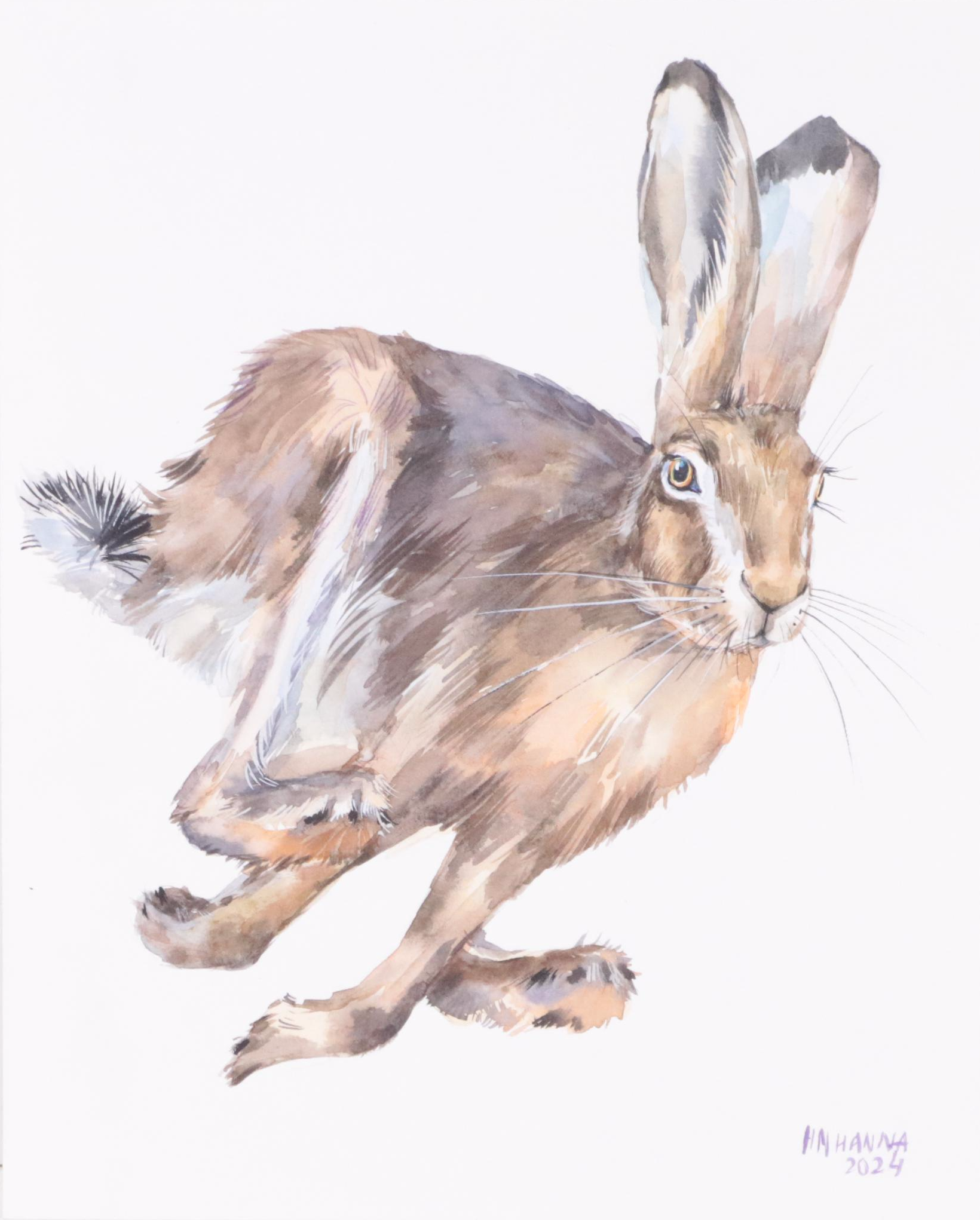 Hanna Melnychenko Watercolor Painting "Running Hare," 2024