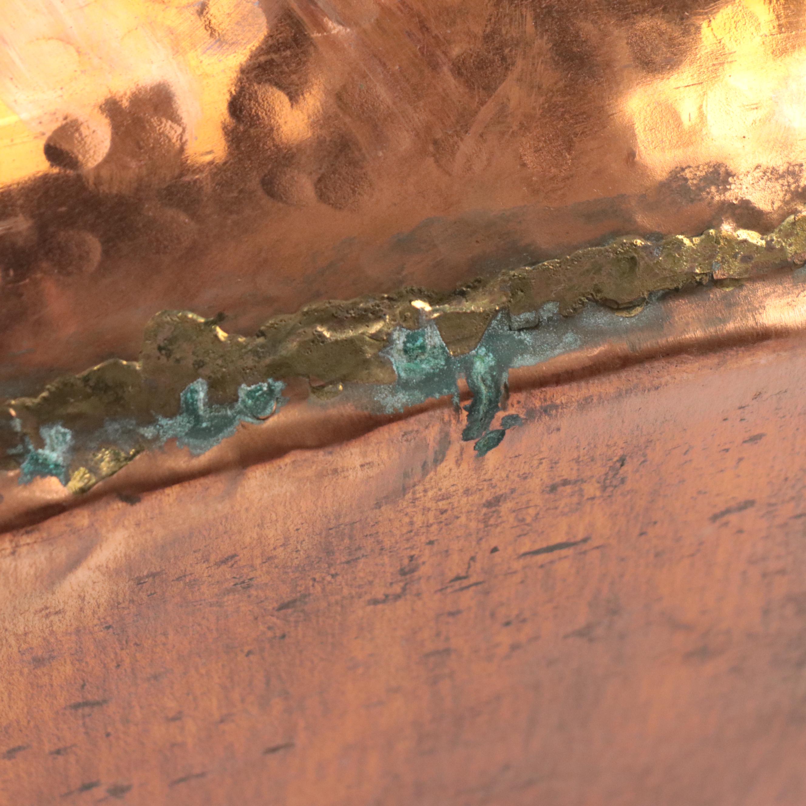 French Style Oval Copper Fish Poacher with Brass Handles, 20th Century