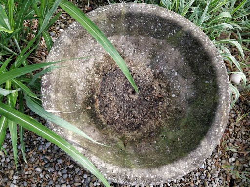 Concrete Urn Footed Outdoor Planter