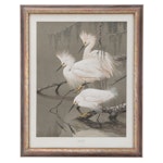 Offset Lithograph After Guy Coheleach "Snowy Egret"
