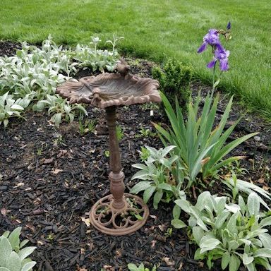Cast Iron Leaf-Shaped Bird Bath