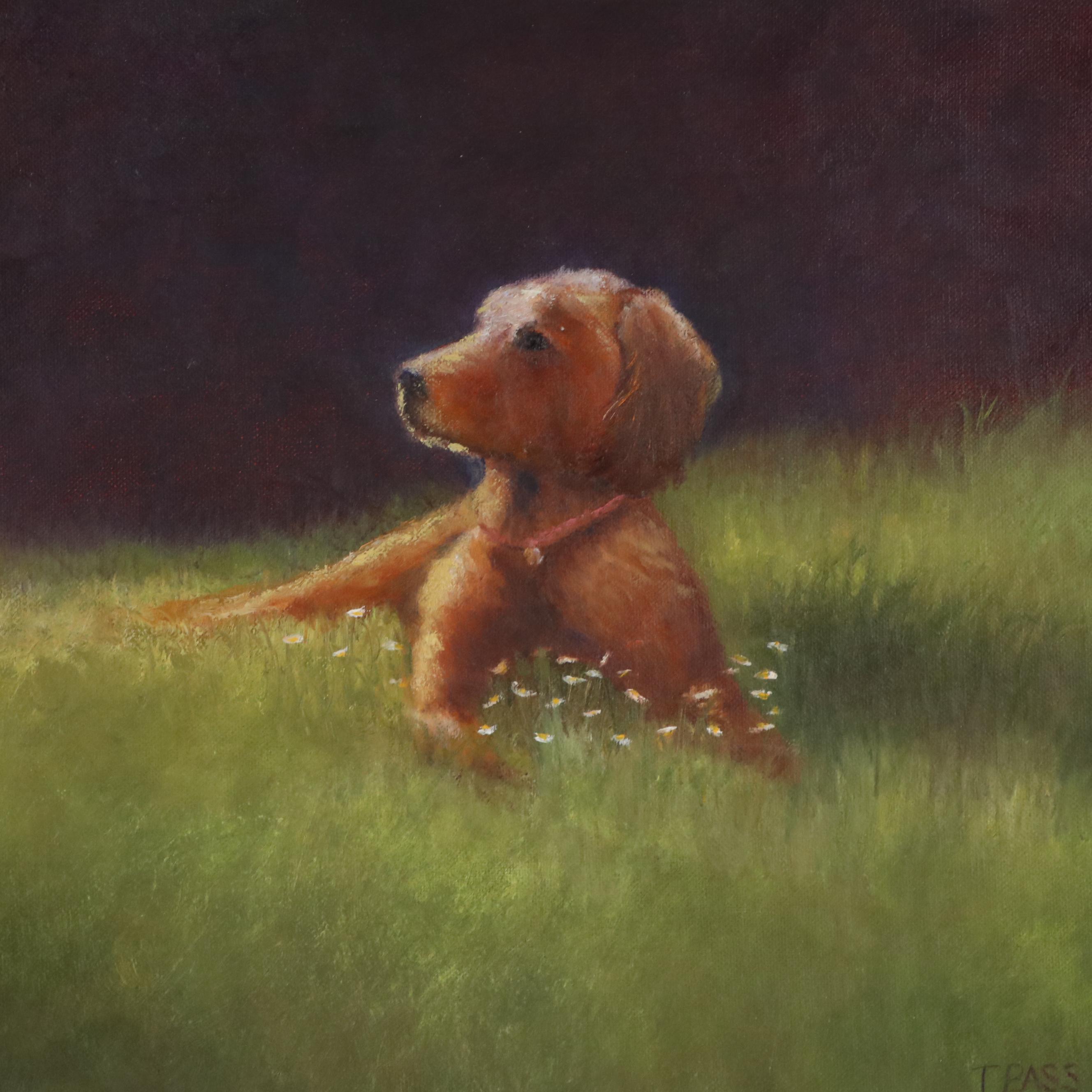 Tricia Bass Oil Painting of Dog "Bella's Daisies"