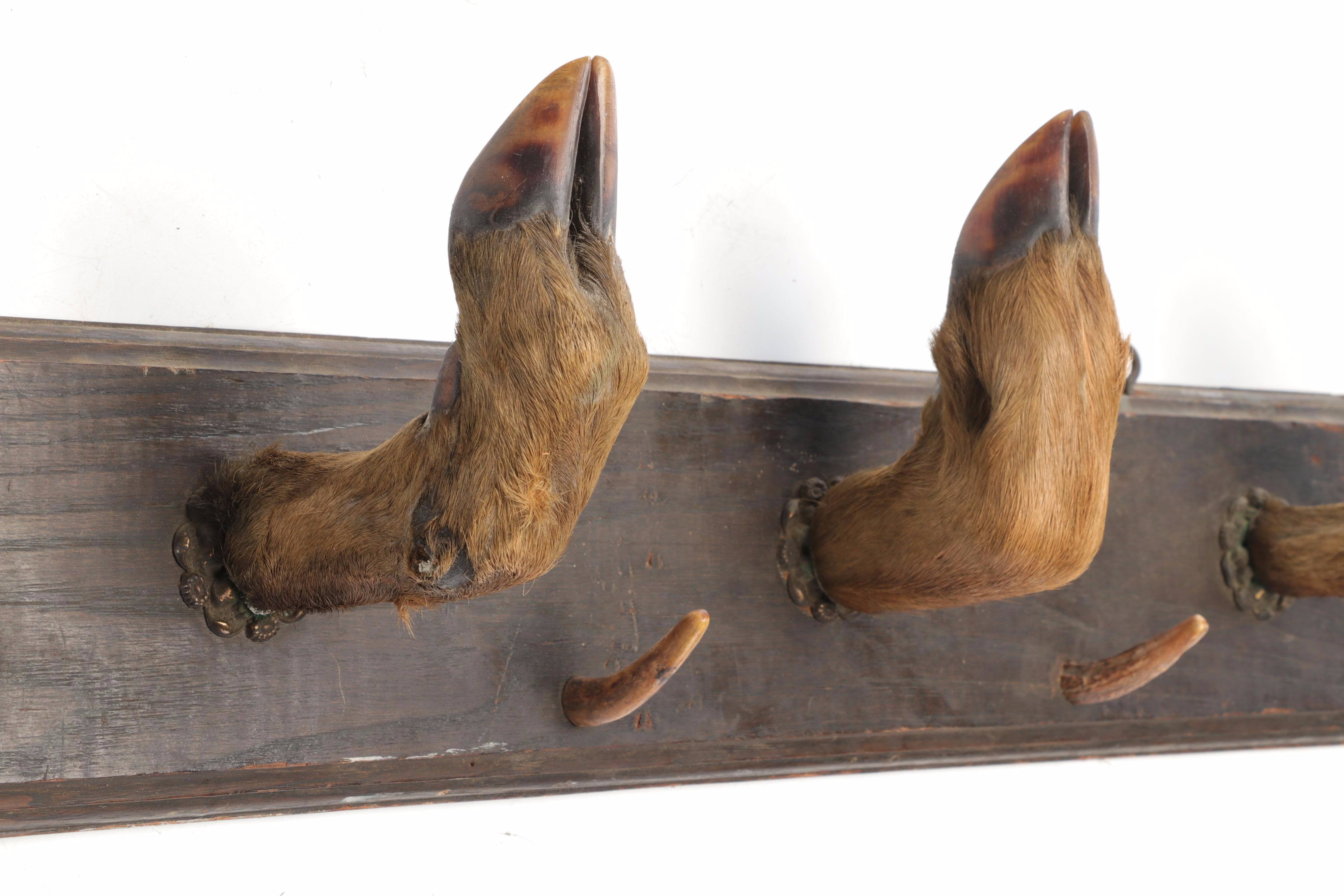 Wood, Horn, and Taxidermy Deer Hoof Wall Mount Coat Rack