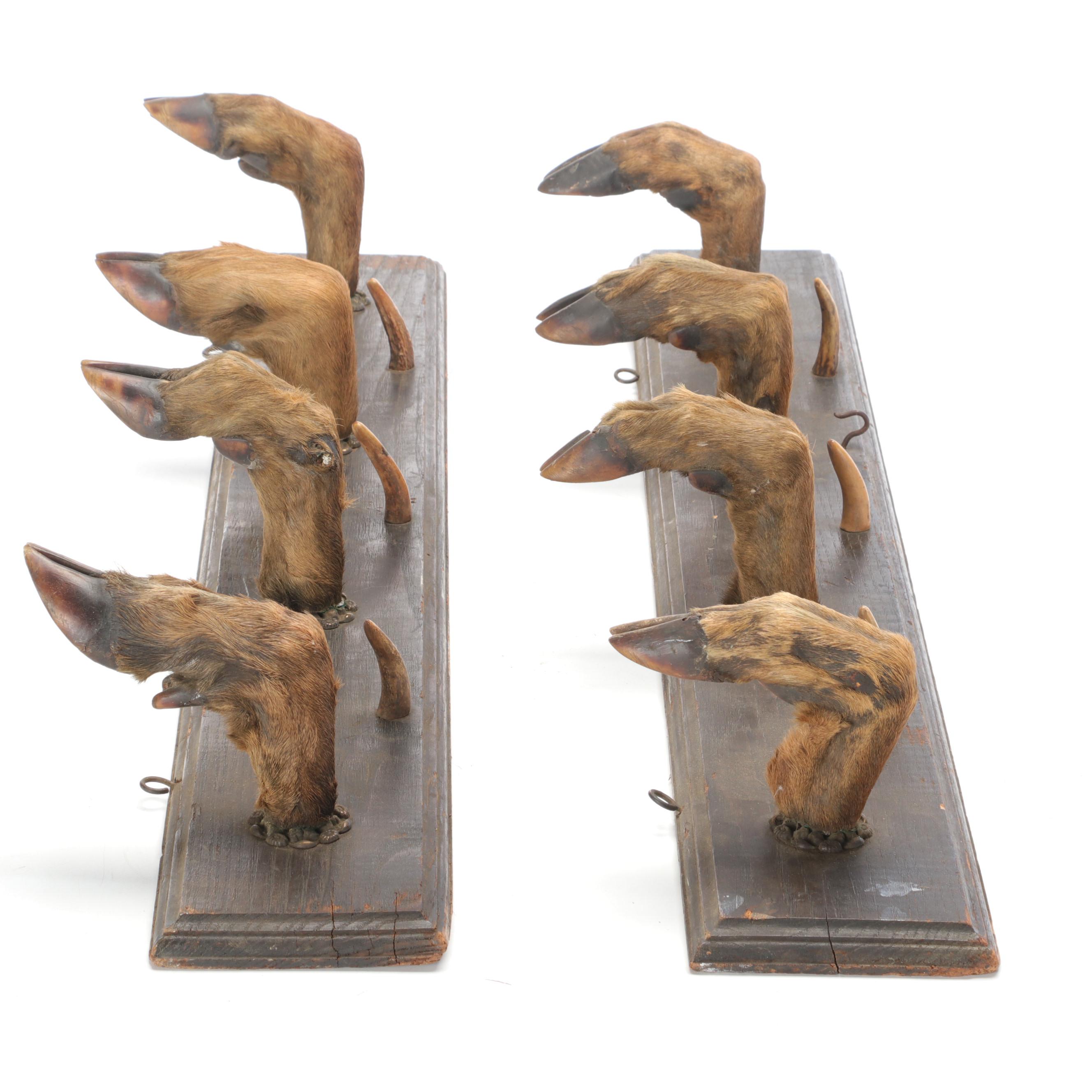 Wood, Horn, and Taxidermy Deer Hoof Wall Mount Coat Rack