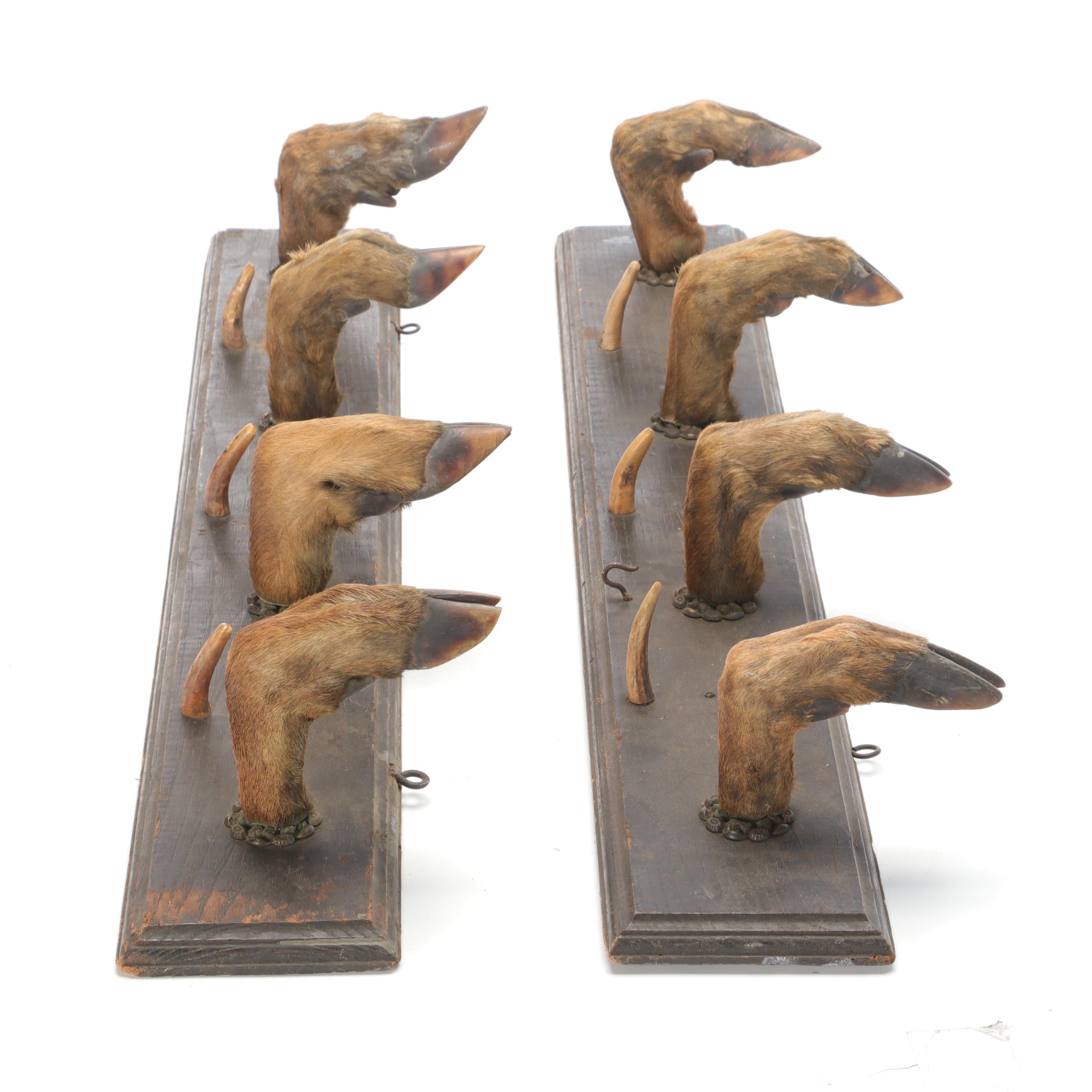 Wood, Horn, and Taxidermy Deer Hoof Wall Mount Coat Rack