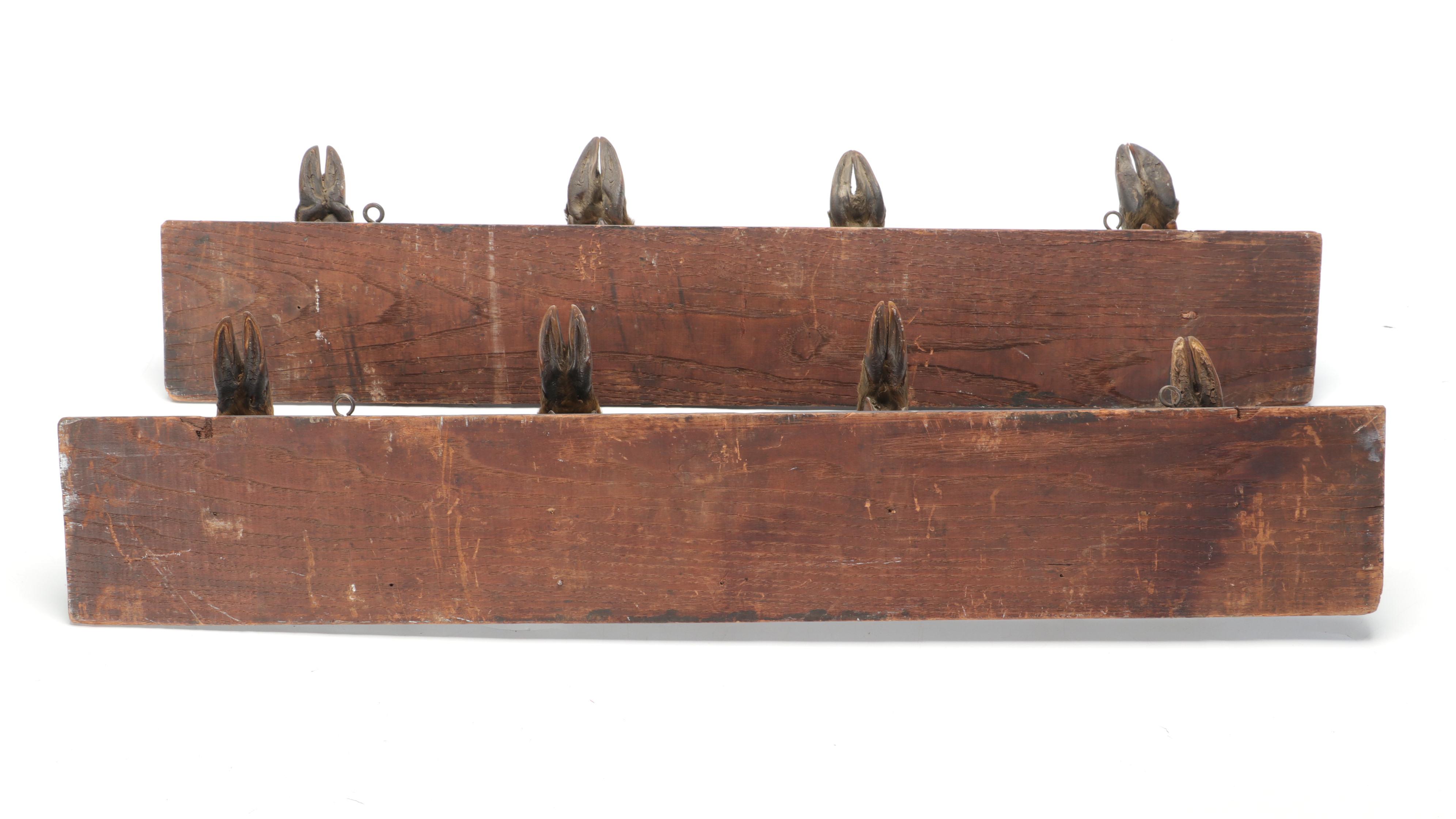 Wood, Horn, and Taxidermy Deer Hoof Wall Mount Coat Rack