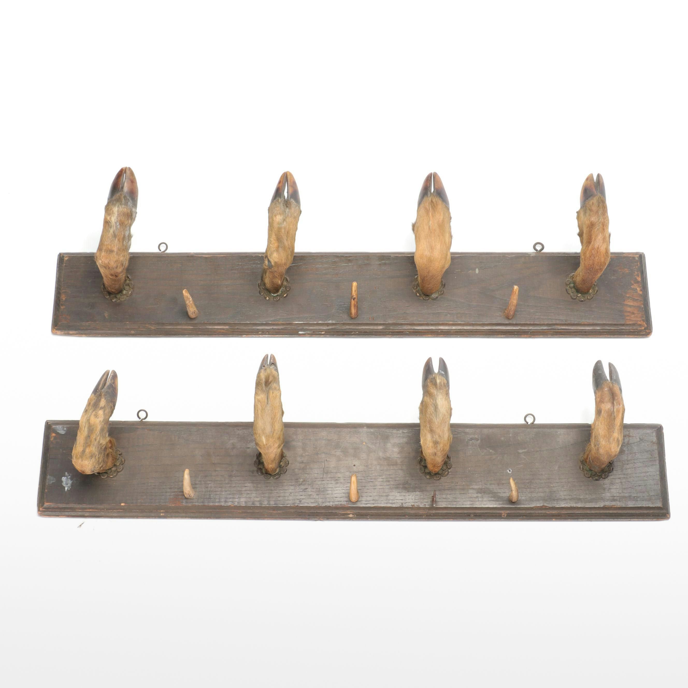 Wood, Horn, and Taxidermy Deer Hoof Wall Mount Coat Rack