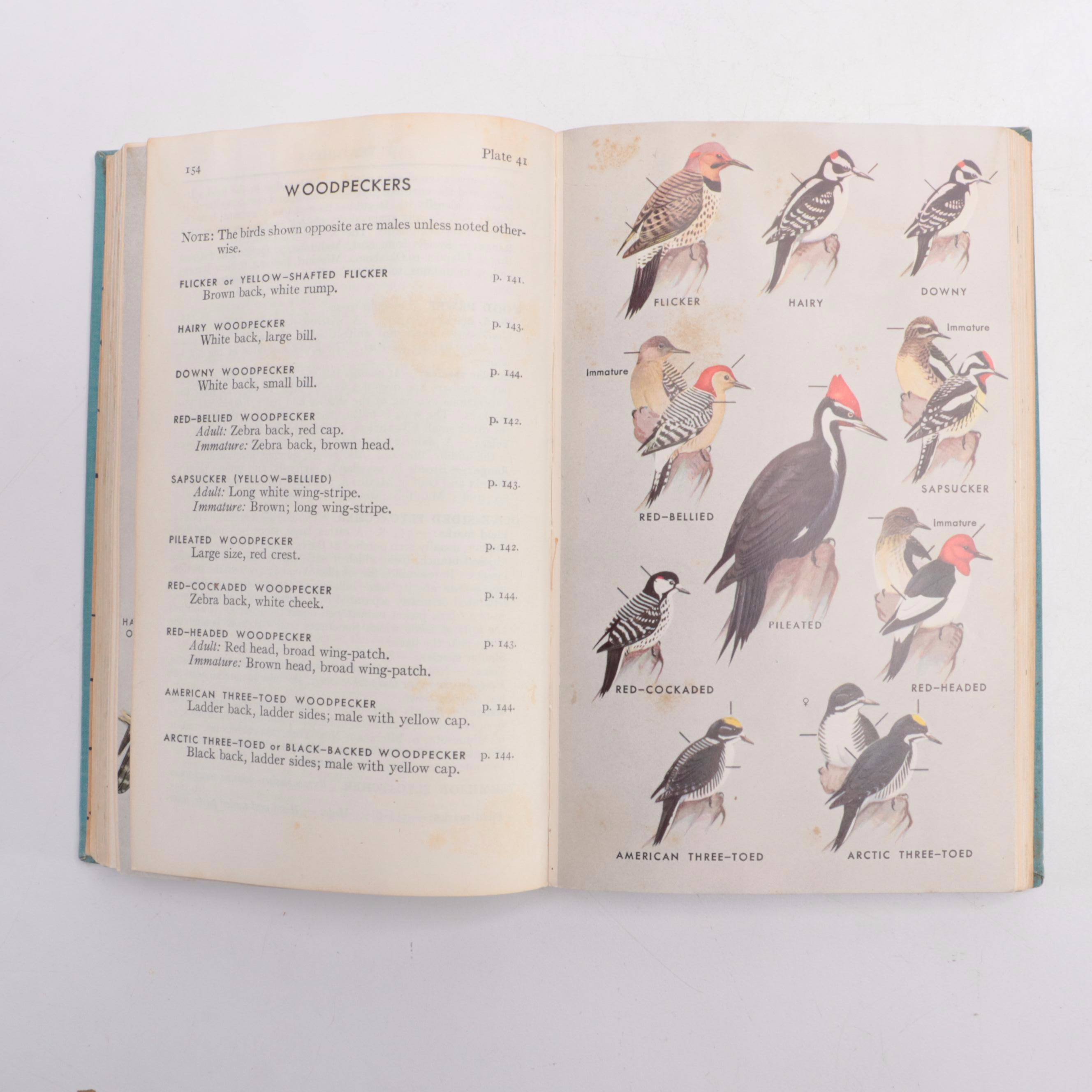 Illustrated "A Field Guide to the Birds" by Roger Tory Peterson, 1947