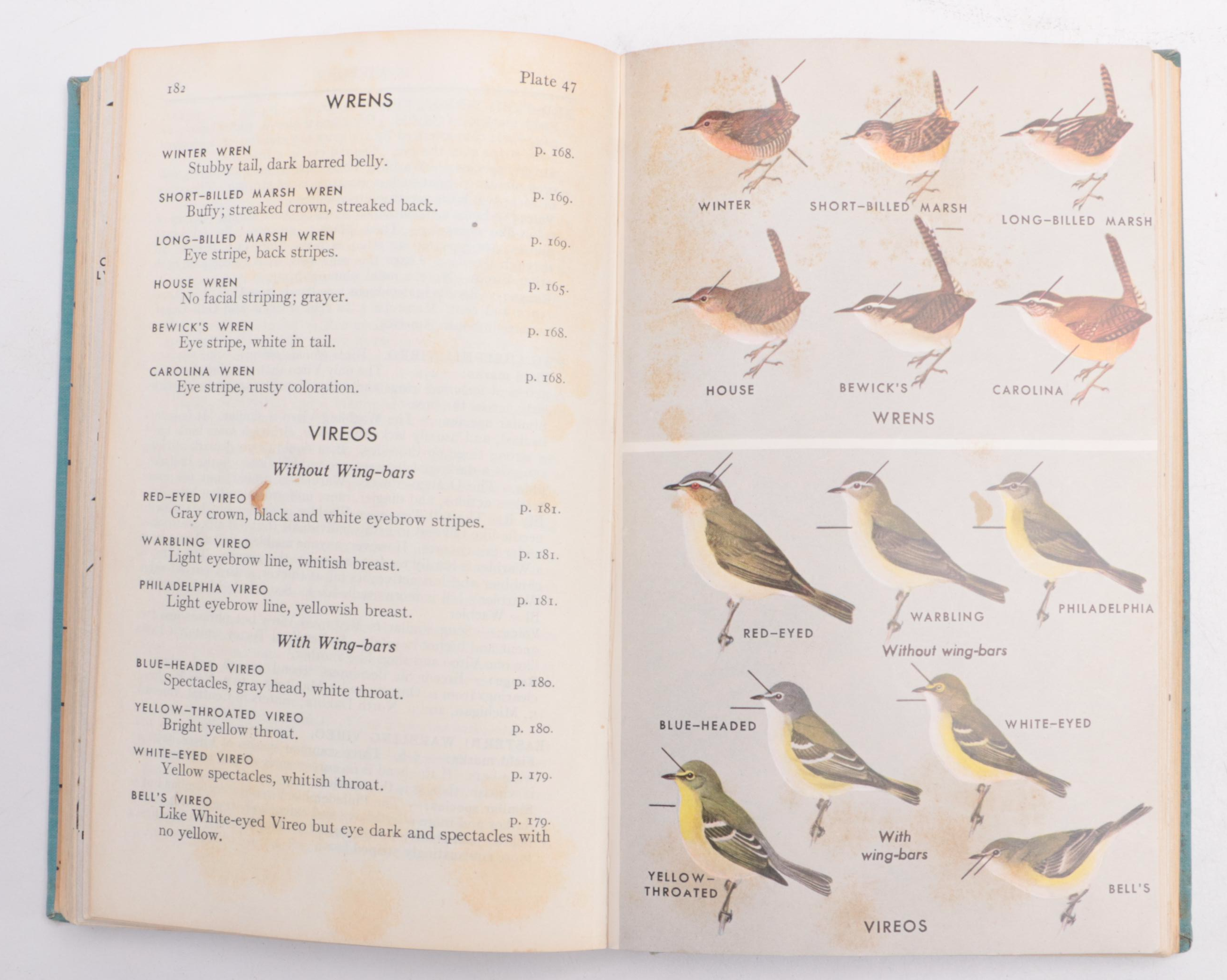Illustrated "A Field Guide to the Birds" by Roger Tory Peterson, 1947