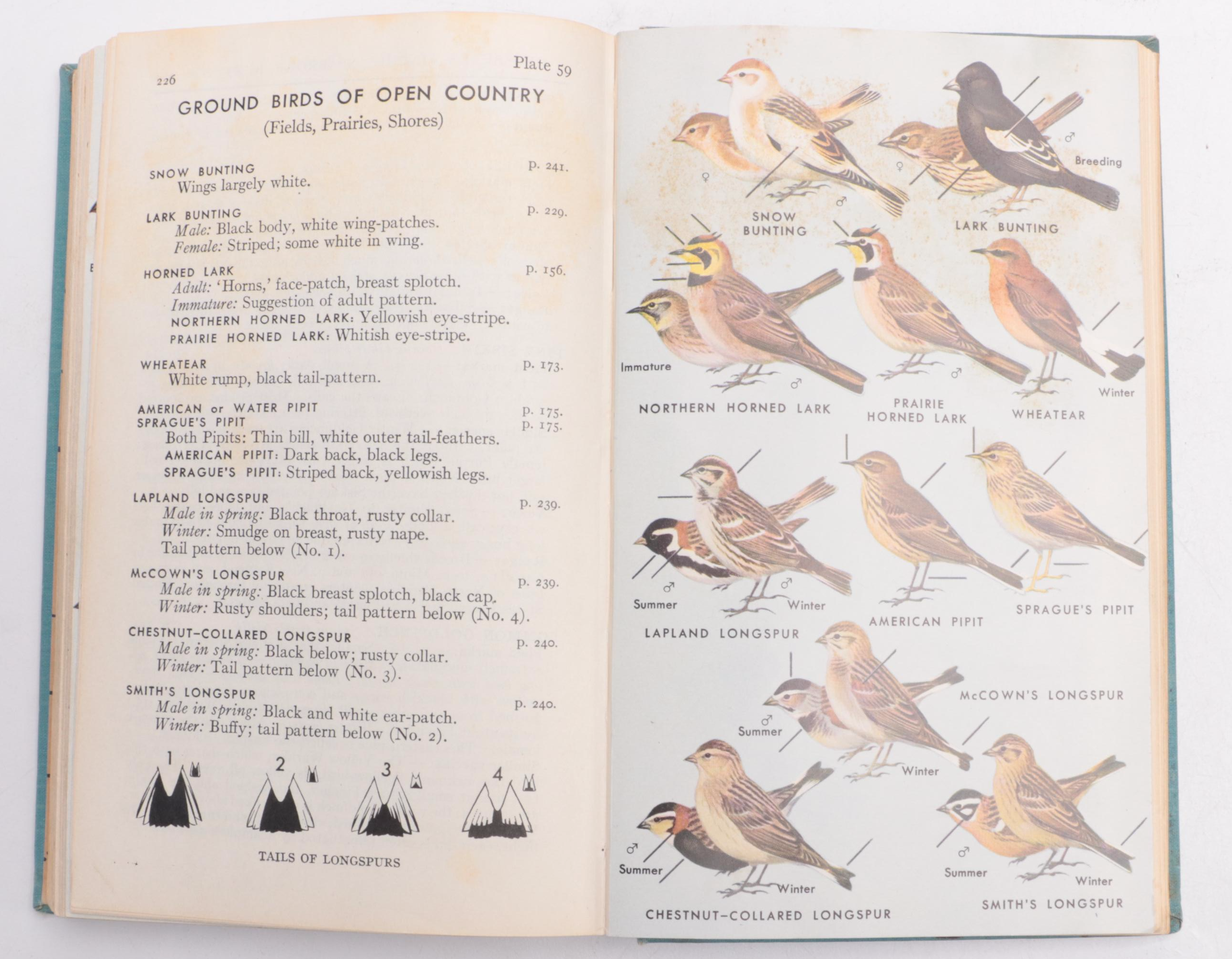 Illustrated "A Field Guide to the Birds" by Roger Tory Peterson, 1947
