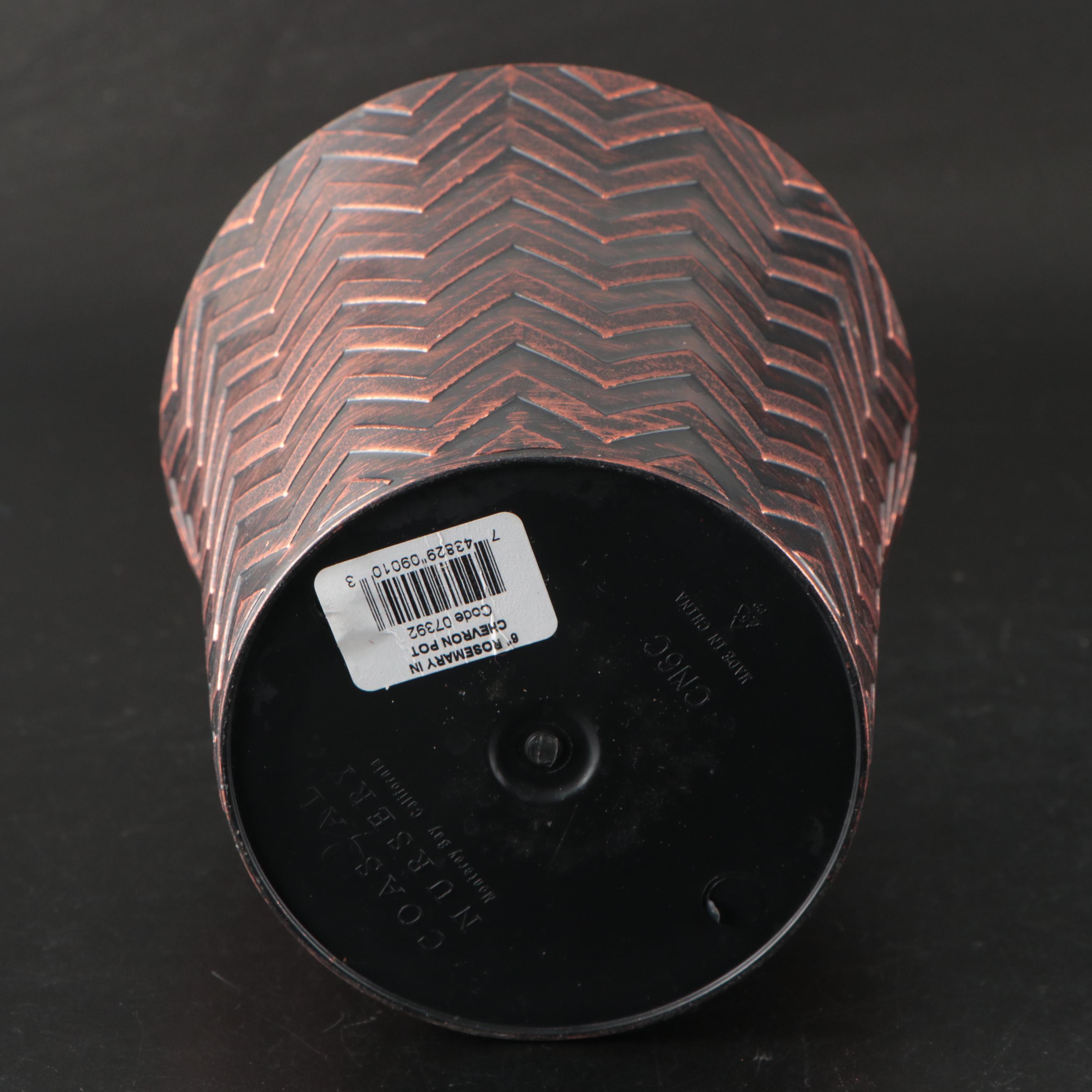 Salt Glazed Stoneware Crock with Ceramic and Plastic Planters