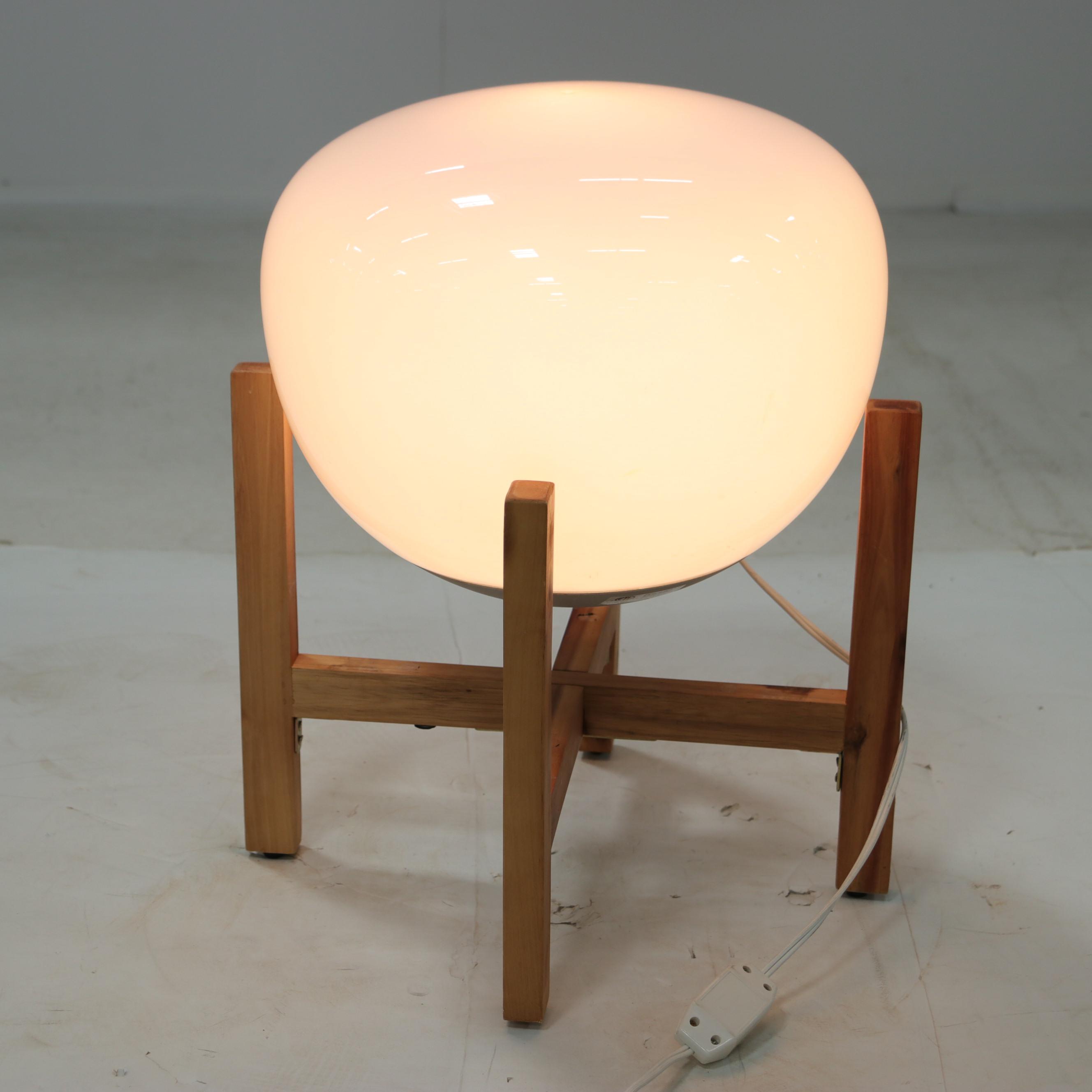 Wooden and Plastic Floor Globe Lamp