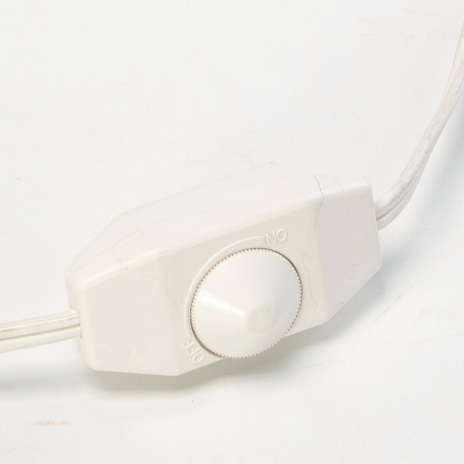 Wooden and Plastic Floor Globe Lamp