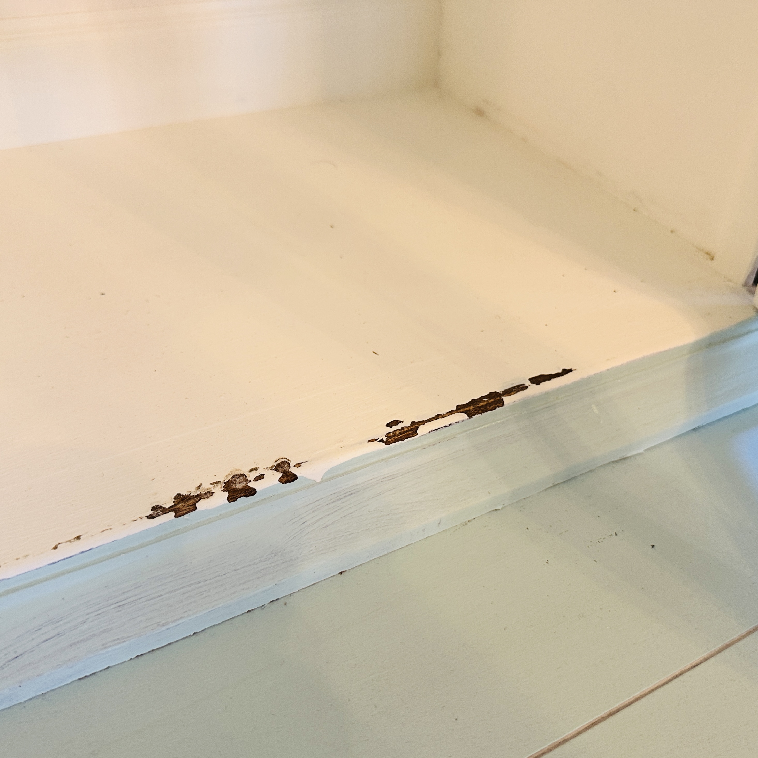 Fancher Mediterranean Style Painted Walnut China Cabinet