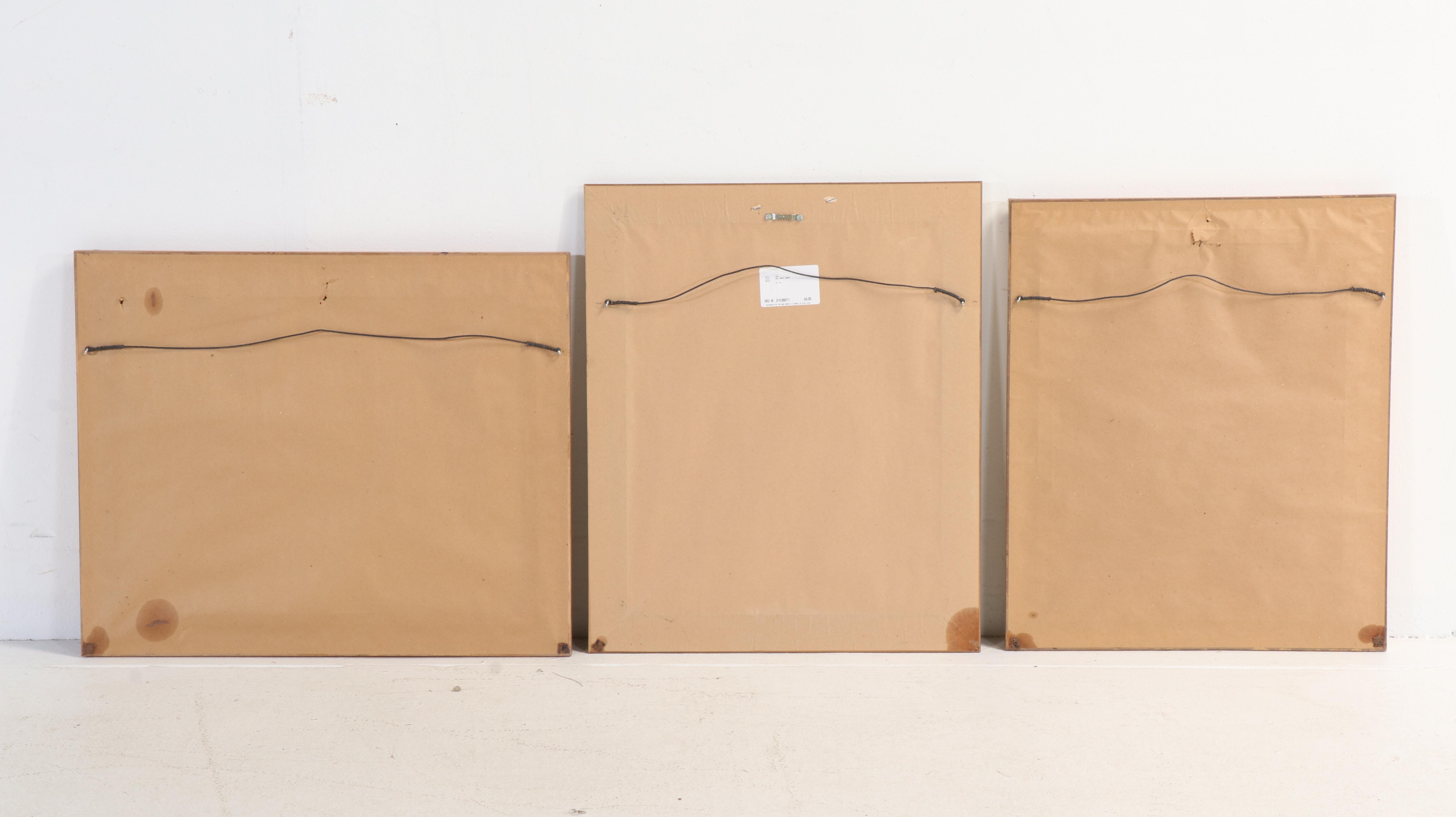 Pier 1 and Other Ornately Framed Rectangular Wall Mirrors