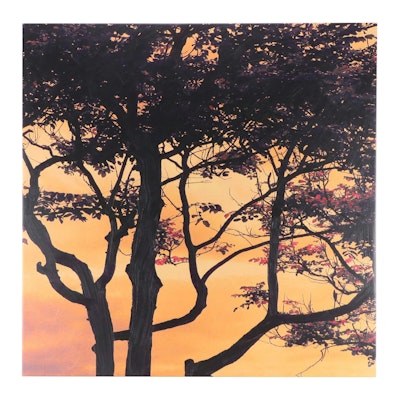 Giclée on Canvas of Tree Silhouette in Sunset Sky