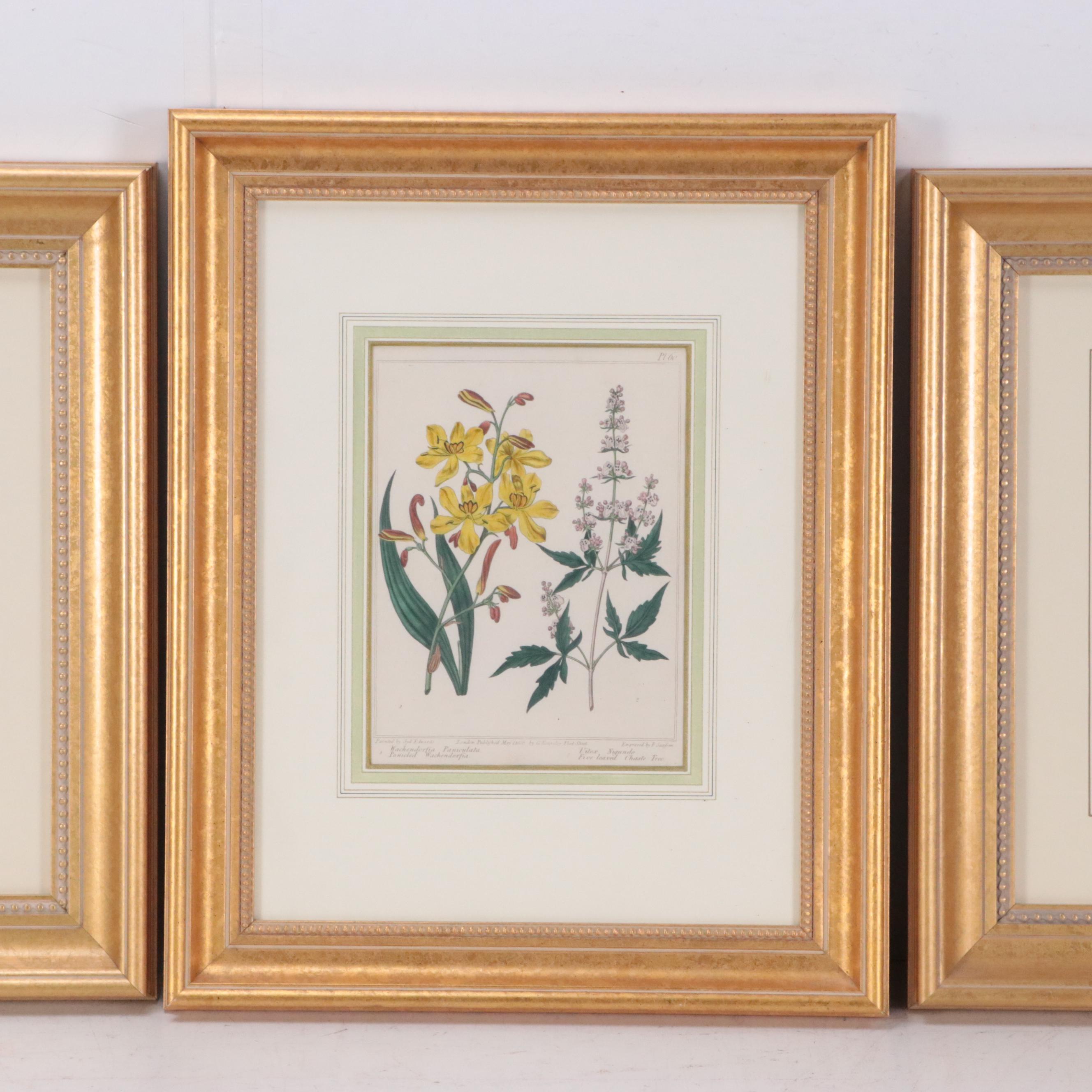 Hand-Colored Engravings from Antique Botanical Magazines, 19th Century