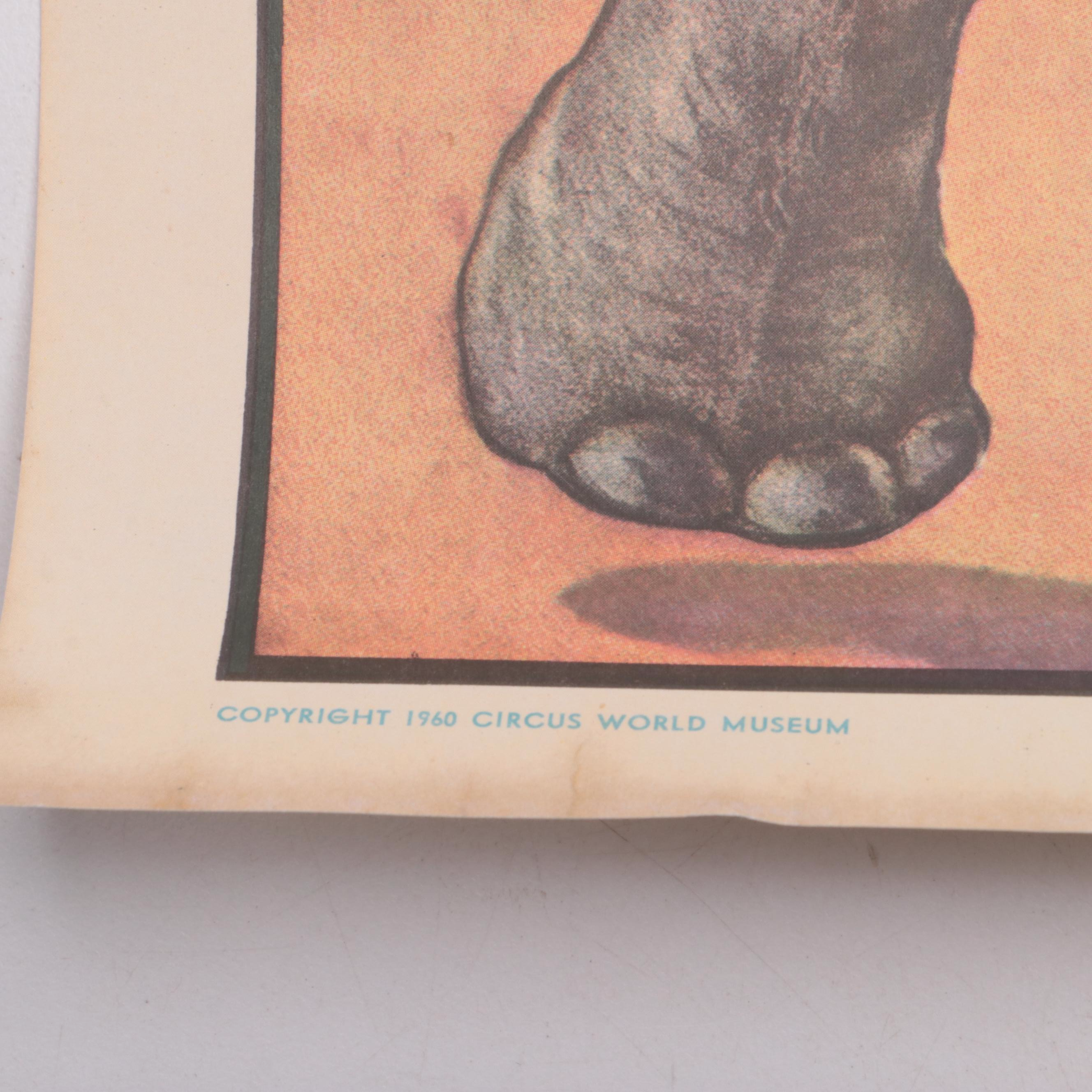 Ringling Bros, Al G. Barnes and Other Circus Posters, 1960