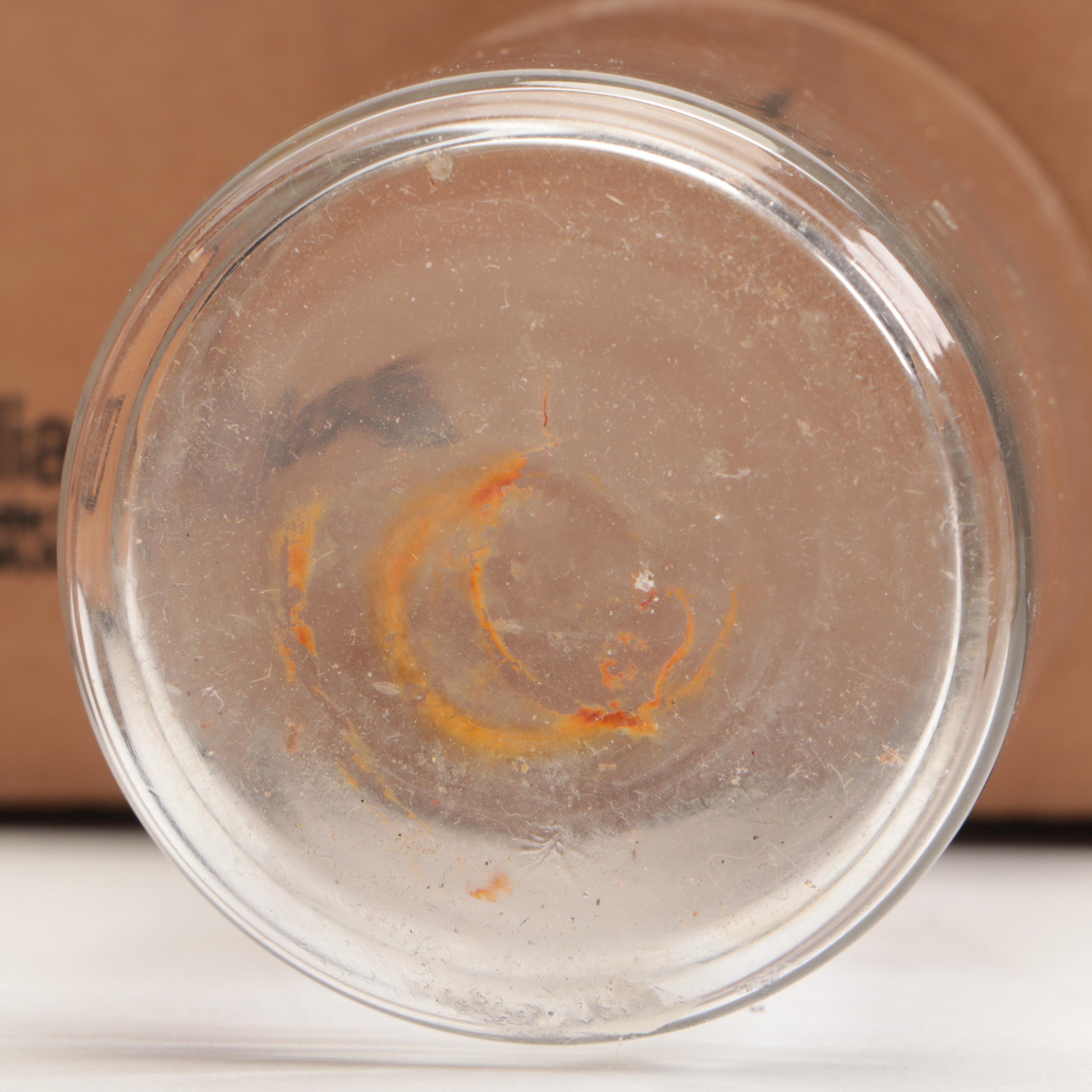 Handwoven Southwestern Blankets with Painted Ceramic Frog, Floral Votive & More