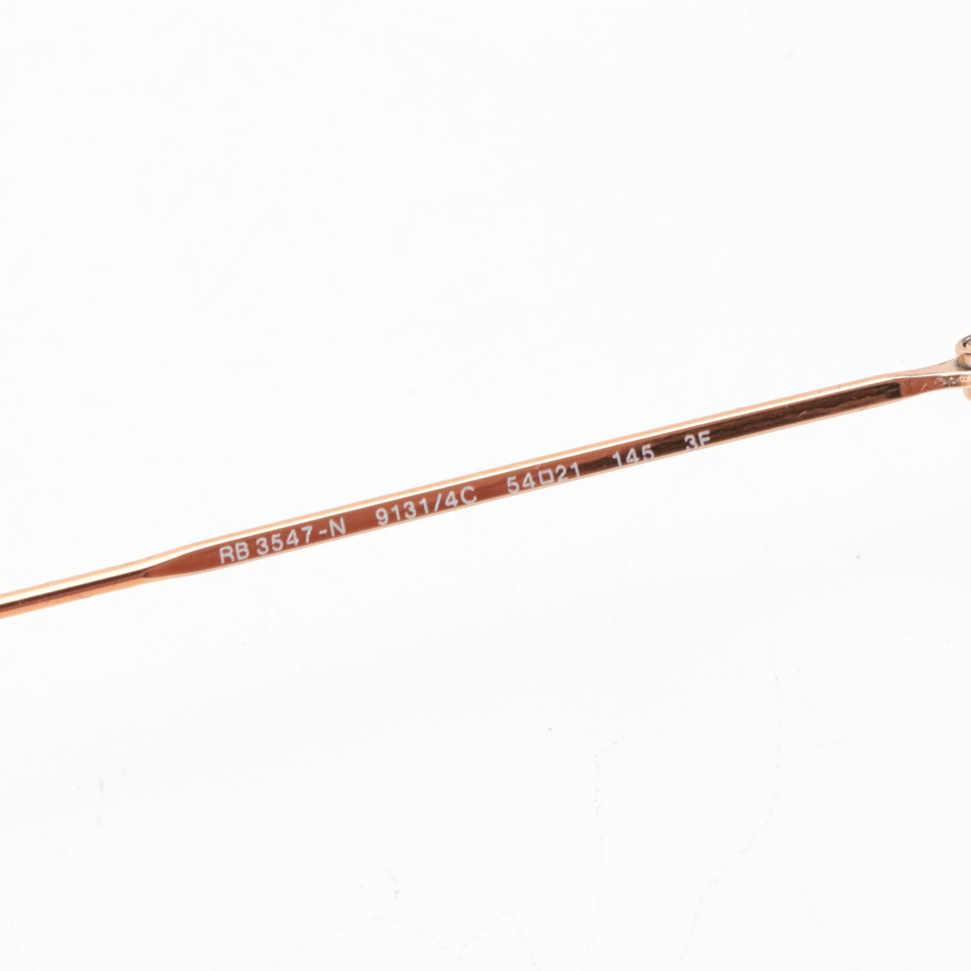 Ray-Ban RB3547N Evolve Oval Sunglasses with Case