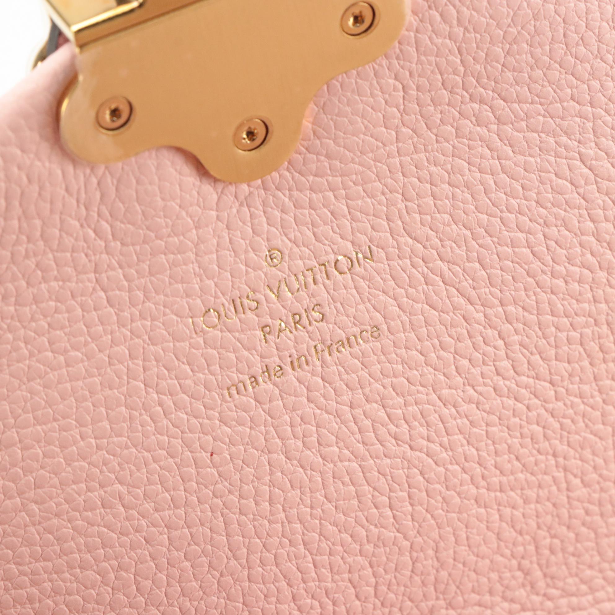 Louis Vuitton Clapton Backpack in Pink Leather and Damier Ebene Coated Canvas