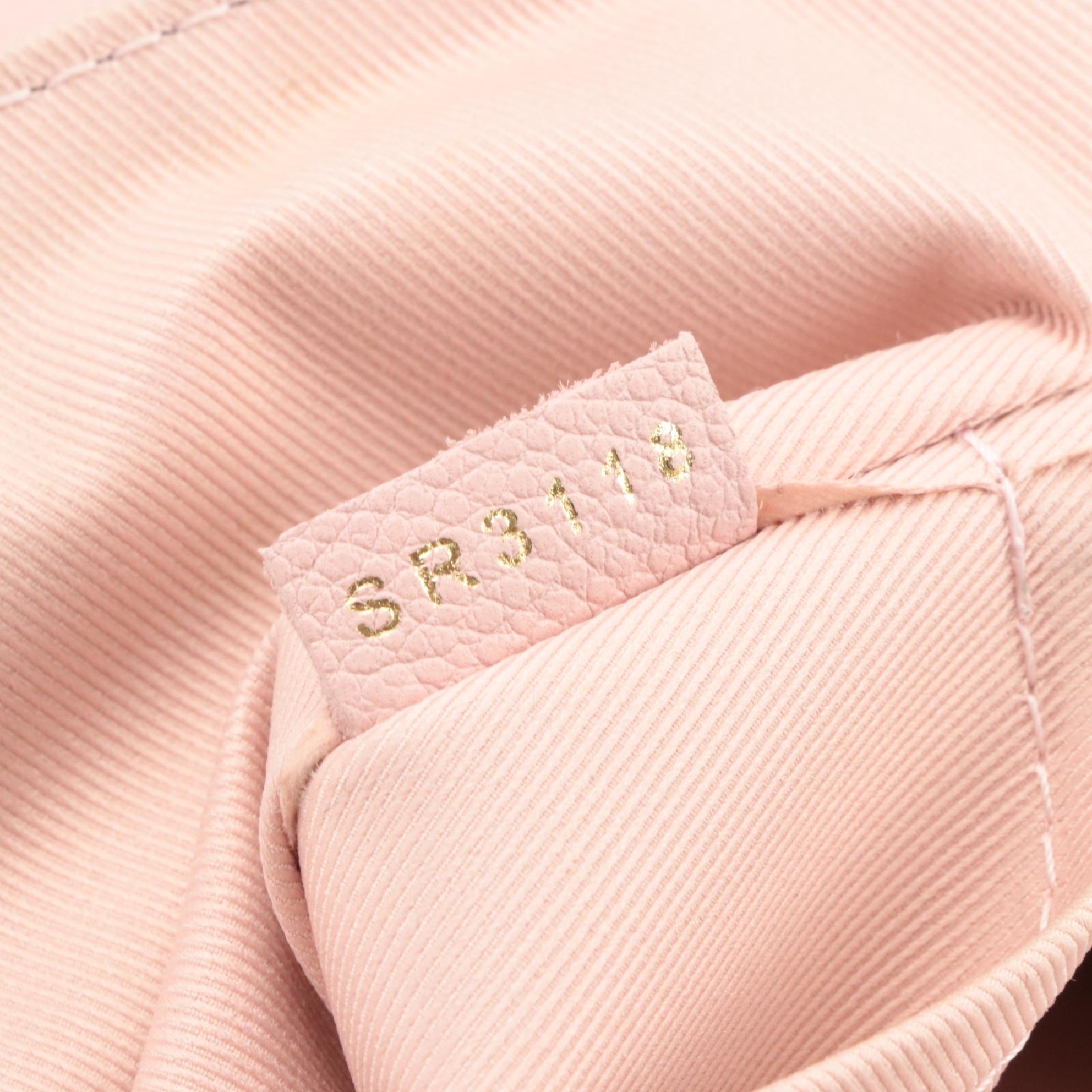 Louis Vuitton Clapton Backpack in Pink Leather and Damier Ebene Coated Canvas