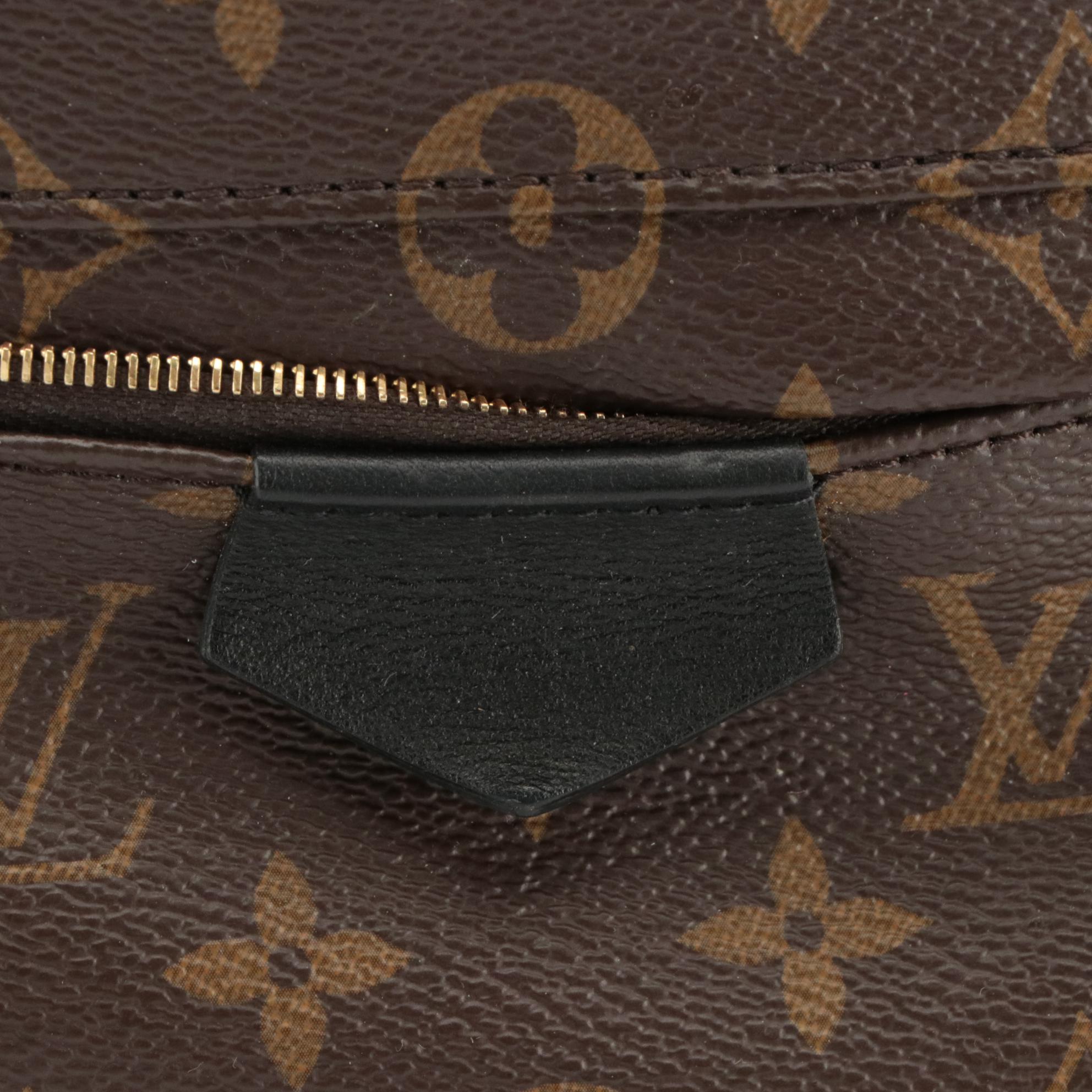 Louis Vuitton Palm Springs Backpack in Monogram Canvas and Black Leather Trim